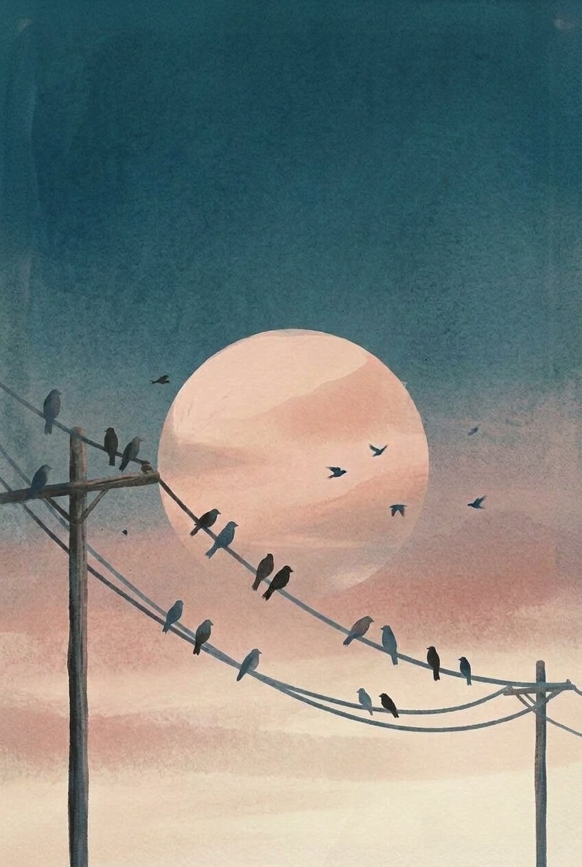 Affiche d'oiseaux sur un fil, poster lune rose