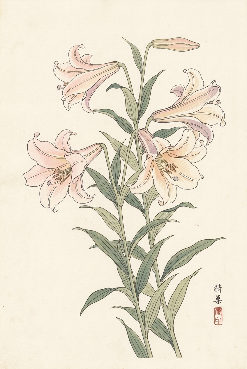 Poster de Lys japonais, affiche fleurs vintage