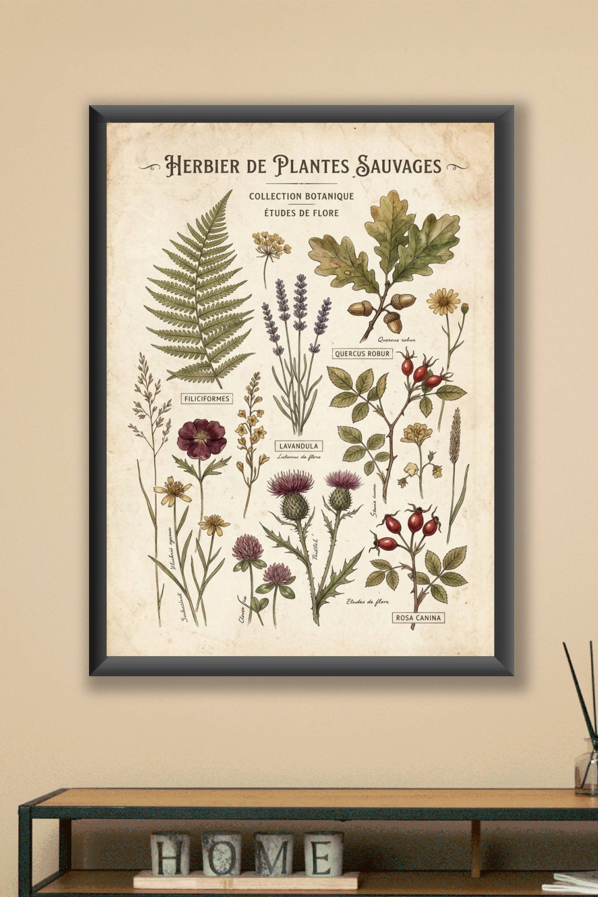 Affiche d'herbier vintage, planches de botanique