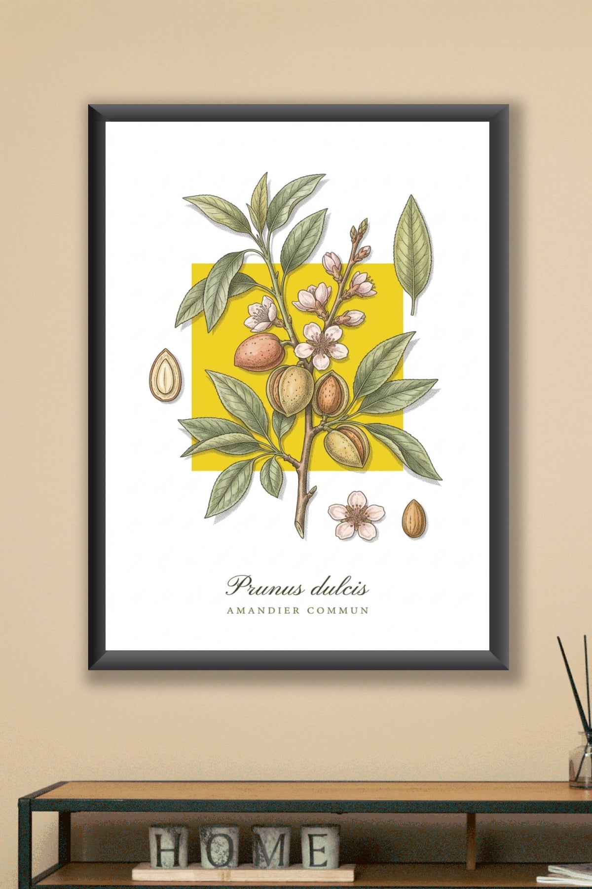 Affiche de l'amandier commun, poster illustré | Afich