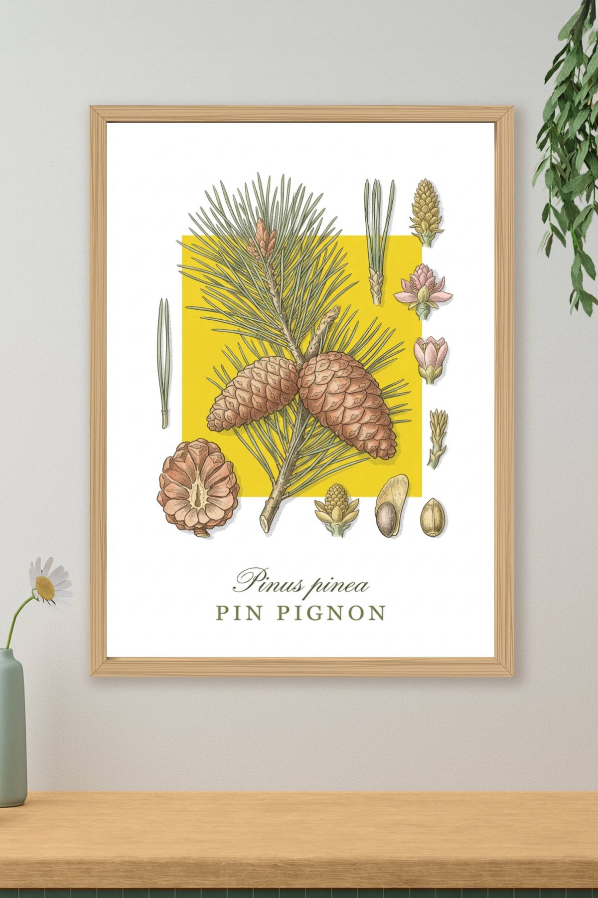 Affiche de Pin Pignon, poster décoratif | Afich
