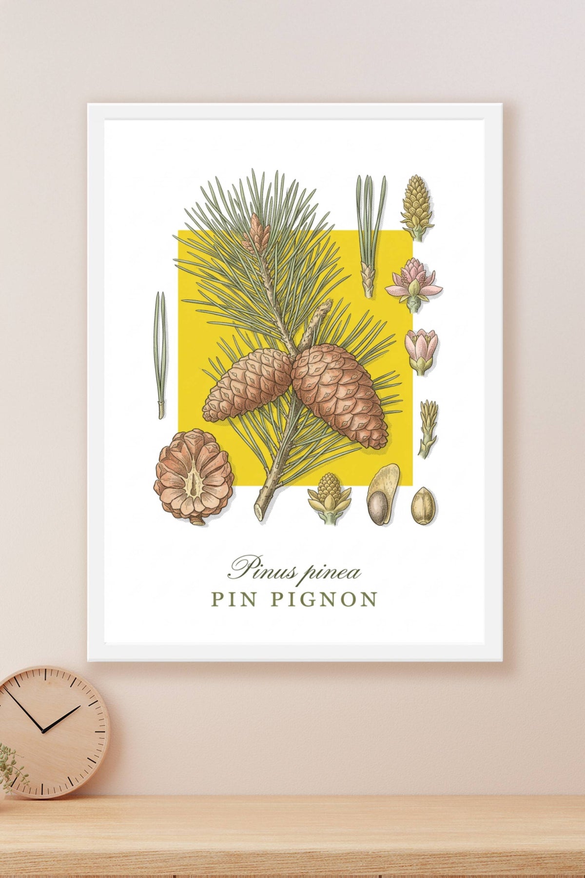 Affiche de Pin Pignon, poster décoratif | Afich