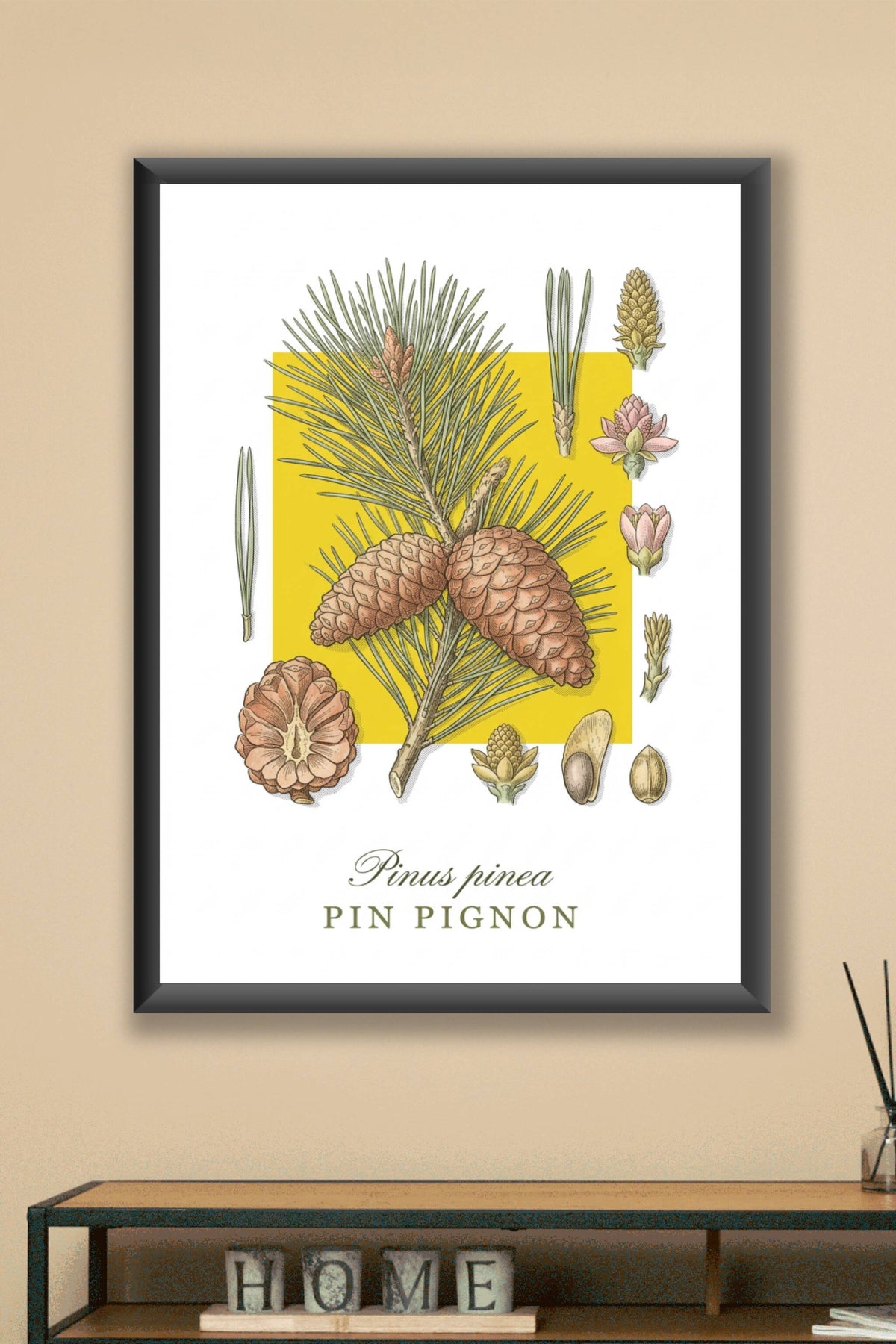 Affiche de Pin Pignon, poster décoratif | Afich