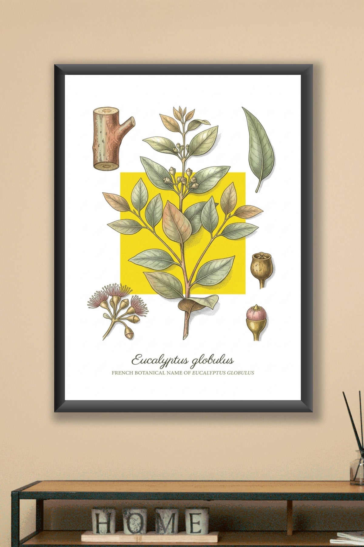 Affiche d'Eucalyptus globulus, style vintage | Afich
