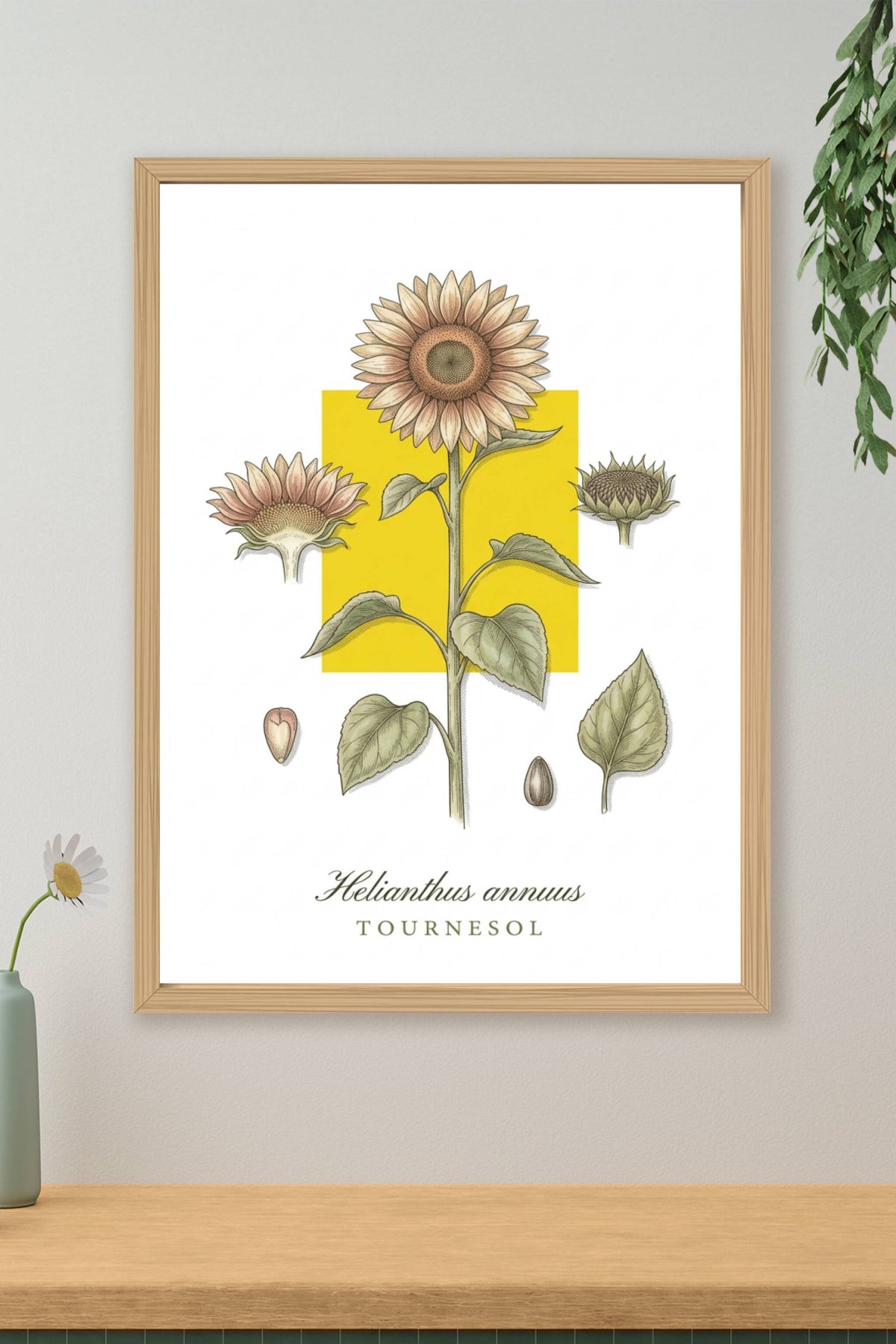 Poster de tournesol, affiche botanique | Afich