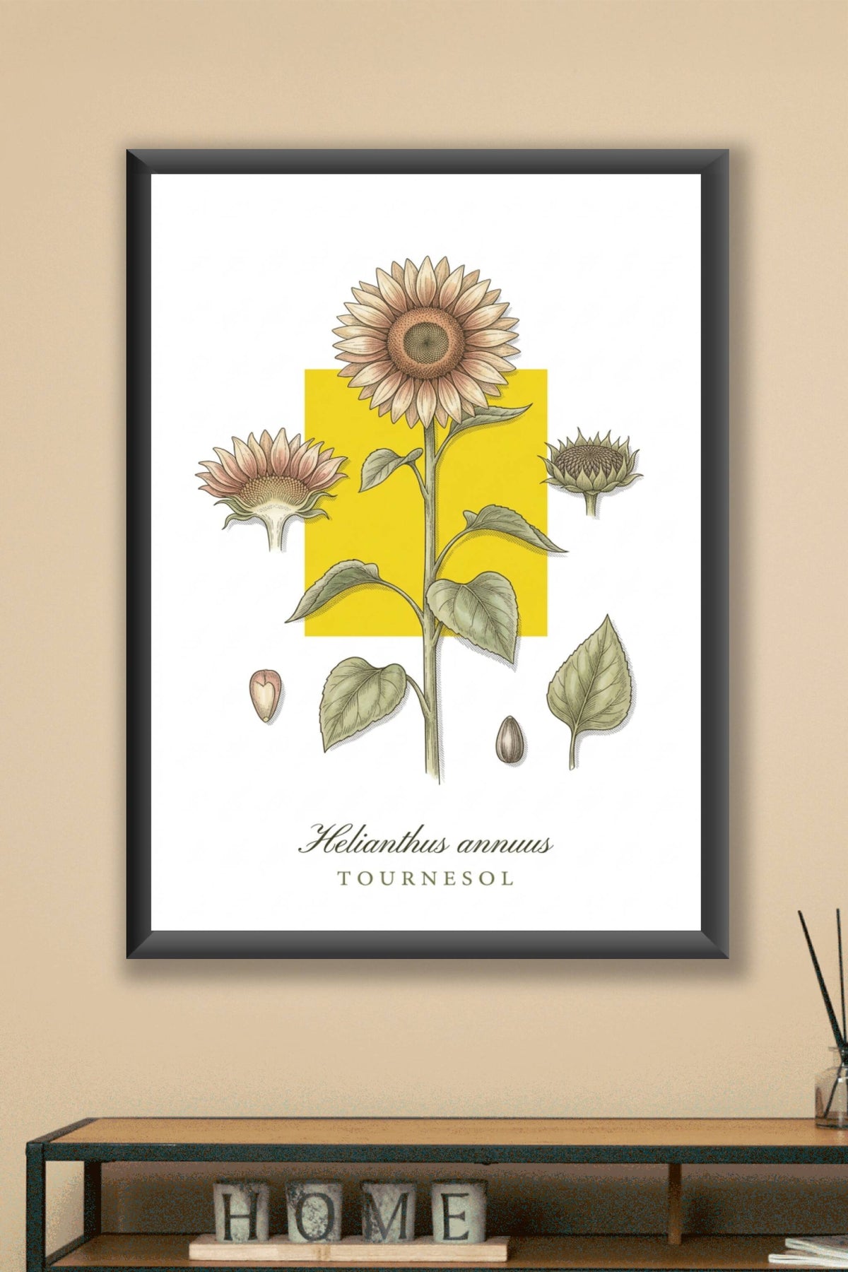 Poster de tournesol, affiche botanique | Afich
