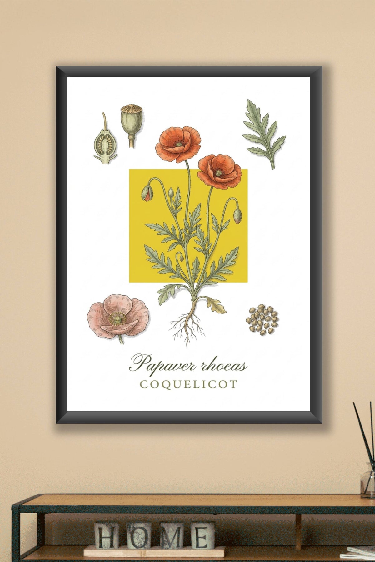 Affiche de Coquelicot, poster botanique | Afich