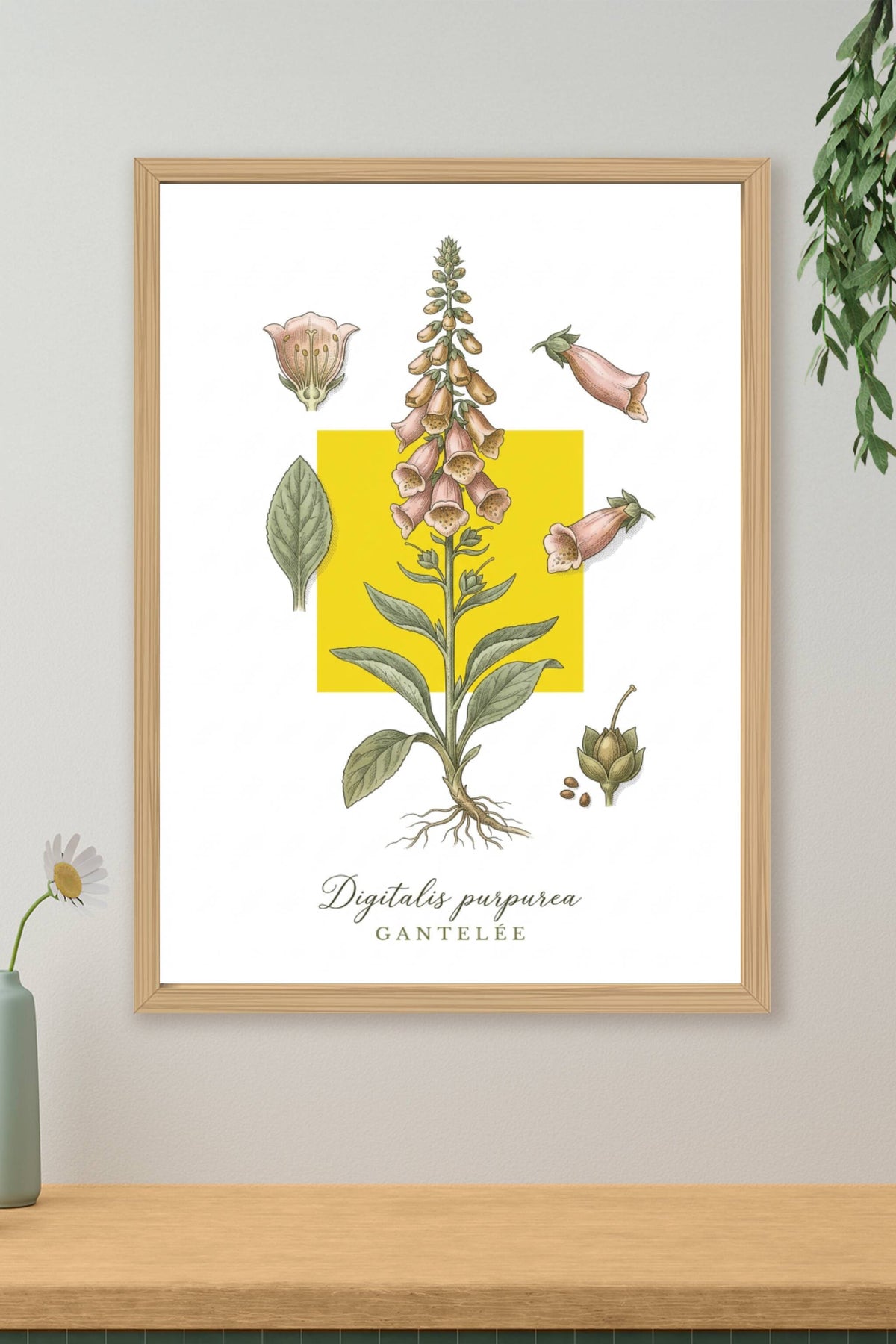 Affiche de Digitale Pourpre, style botanique | Afich