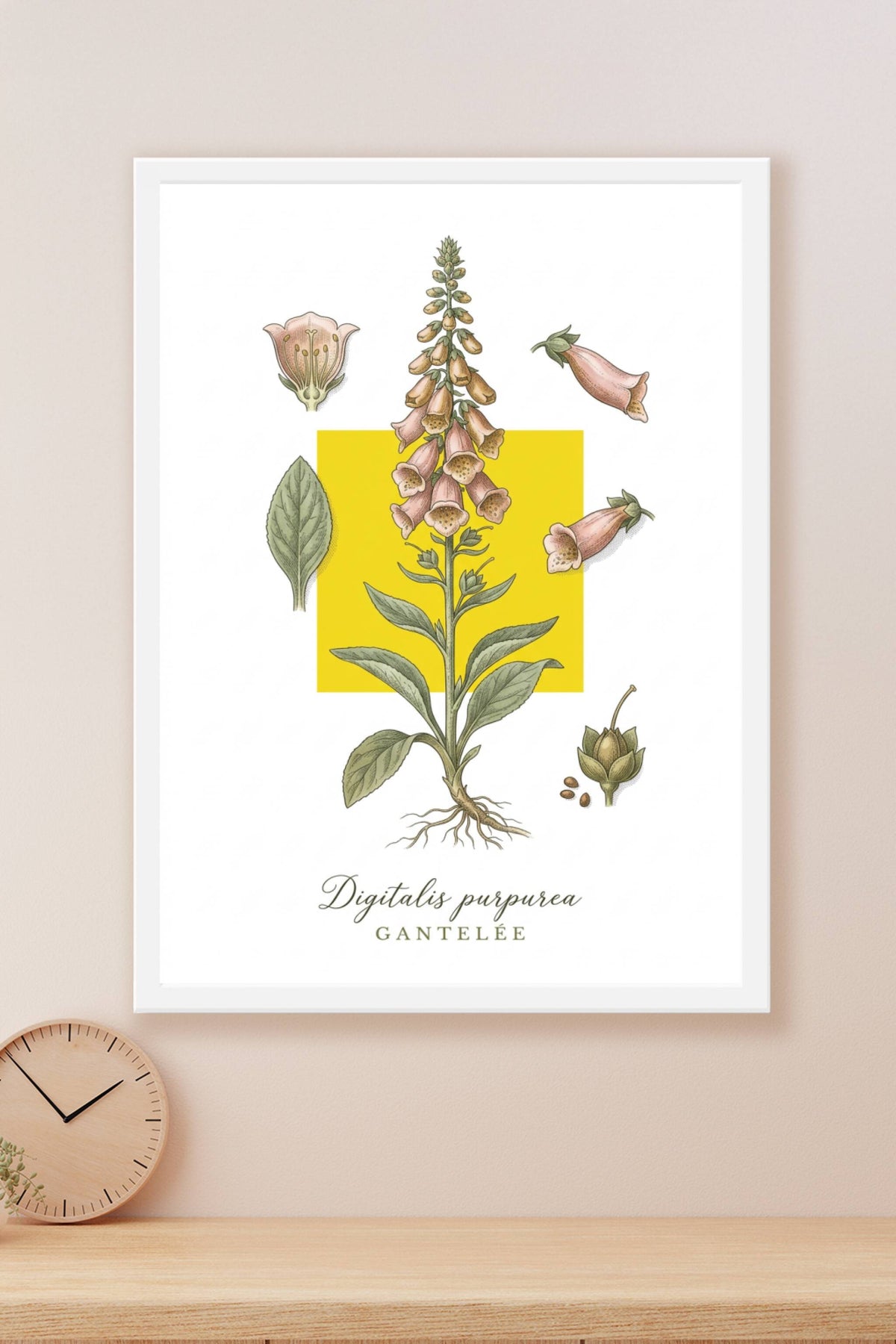 Affiche de Digitale Pourpre, style botanique | Afich