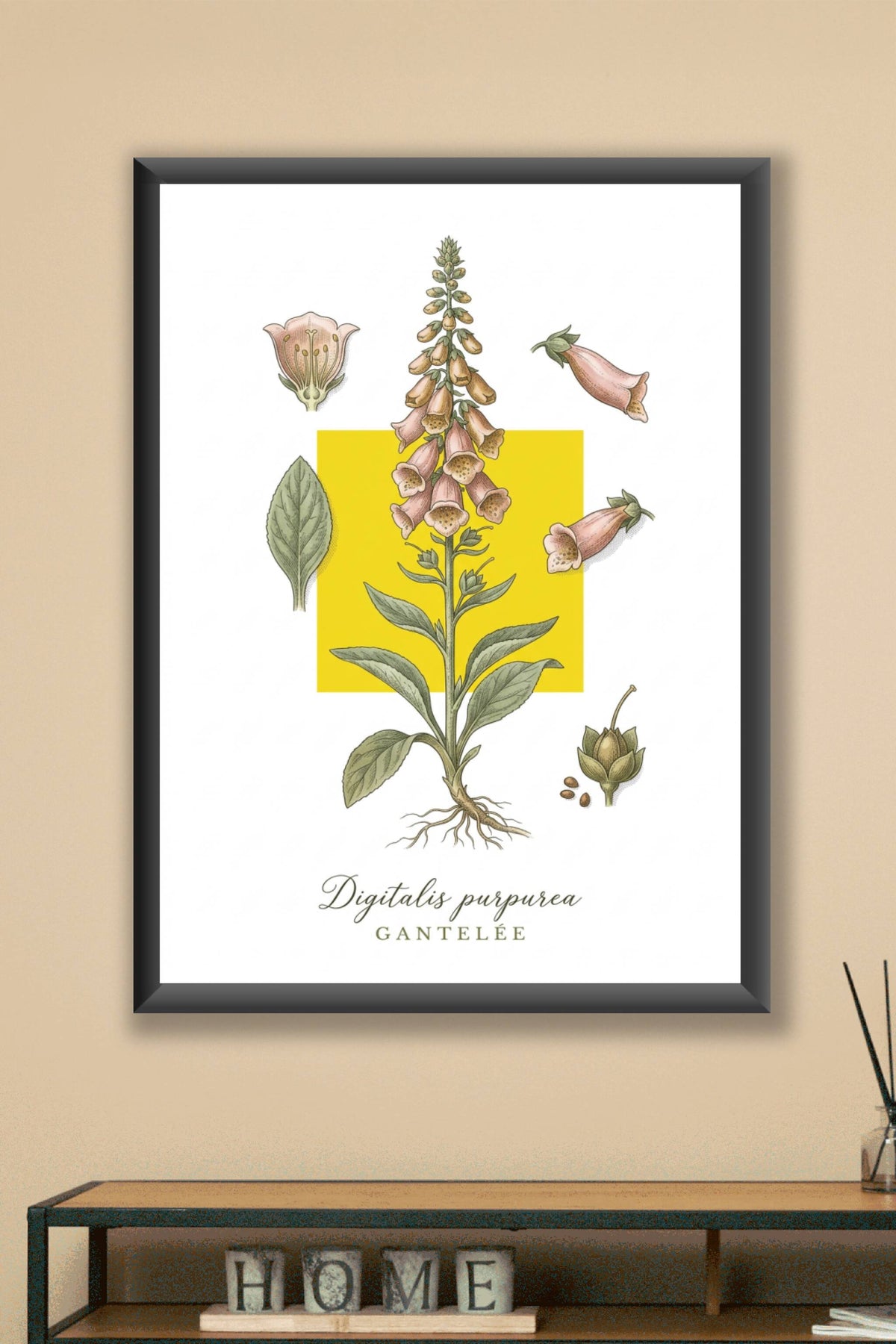 Affiche de Digitale Pourpre, style botanique | Afich