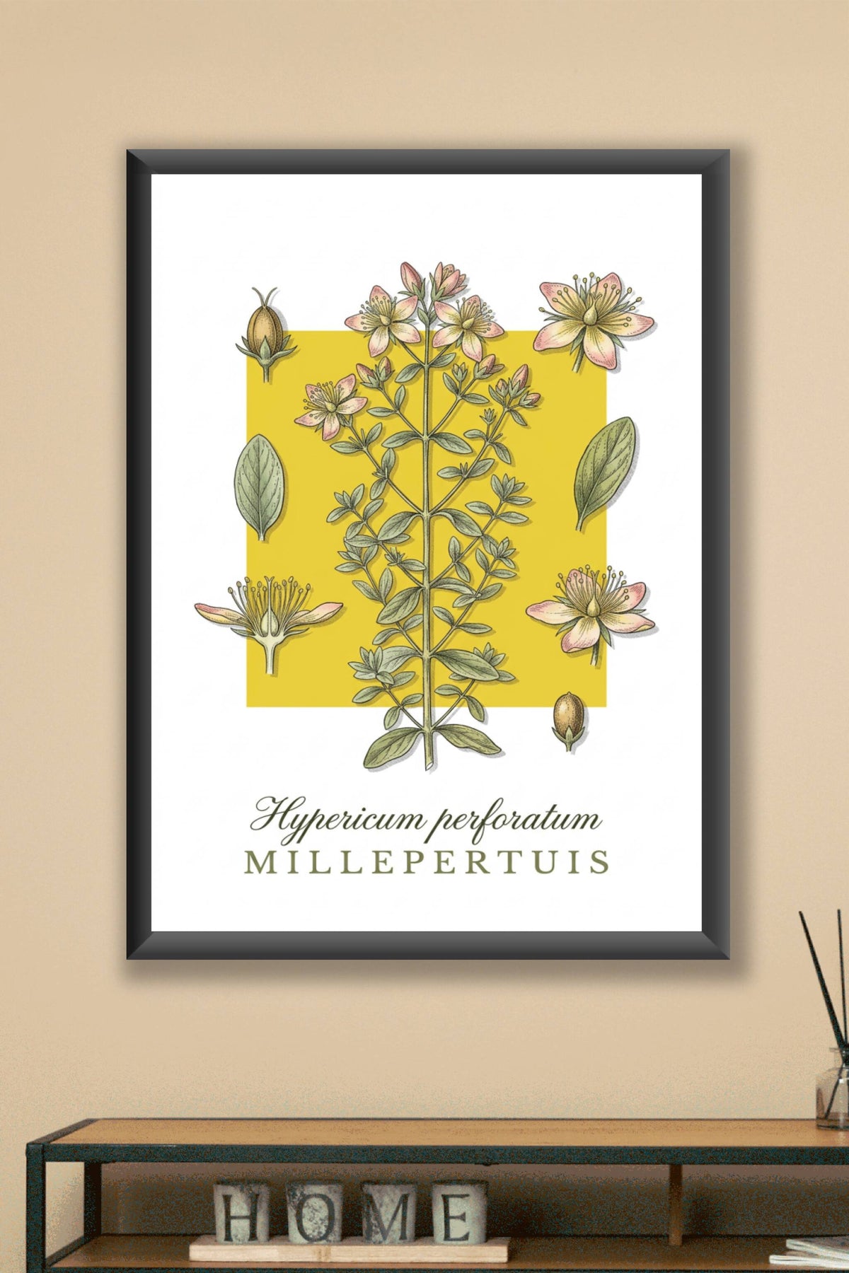 Affiche de millepertuis, poster plante aromatique | Afich