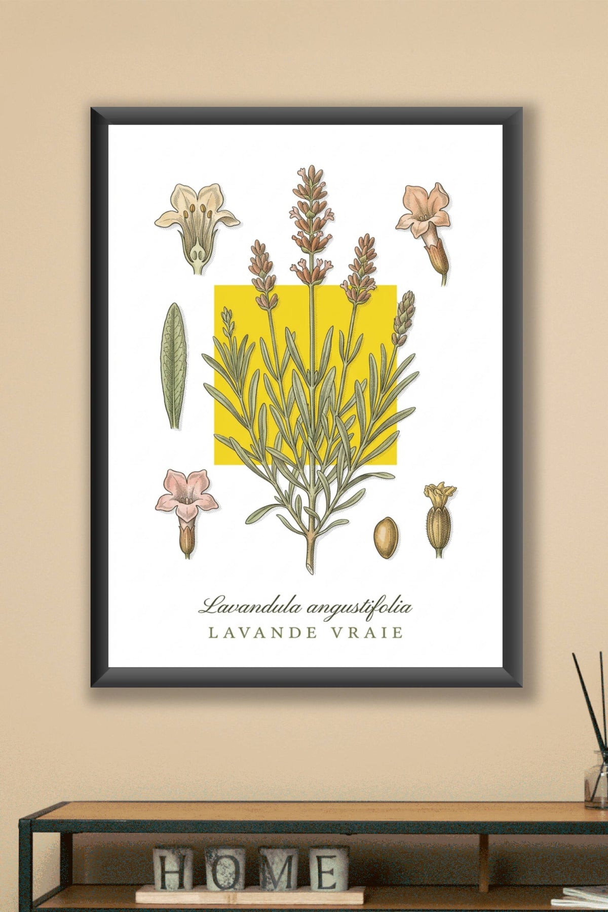 Affiche de lavande vraie, décor botanique | Afich