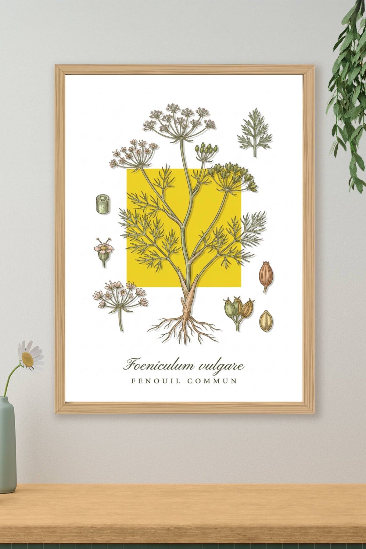 Affiche de fenouil commun, style botanique | Afich