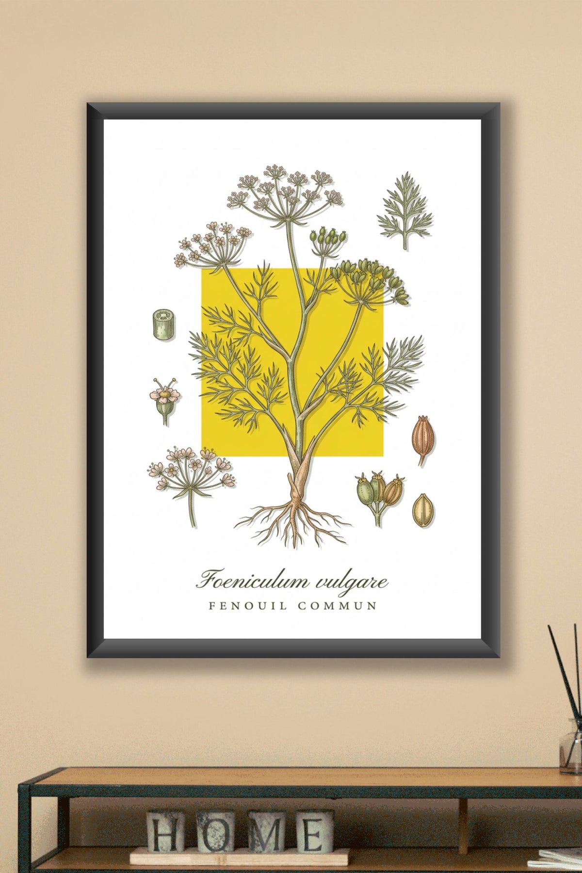 Affiche de fenouil commun, style botanique | Afich