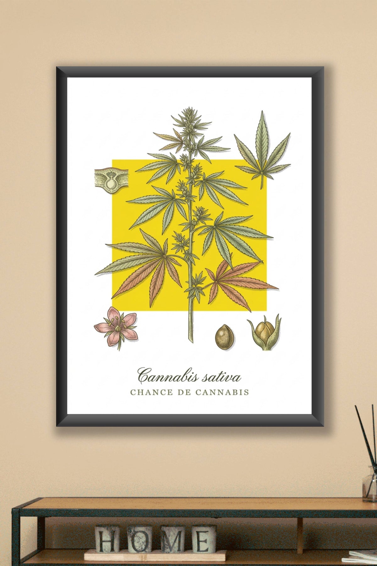 Affiche de Cannabis sativa, style botanique | Afich