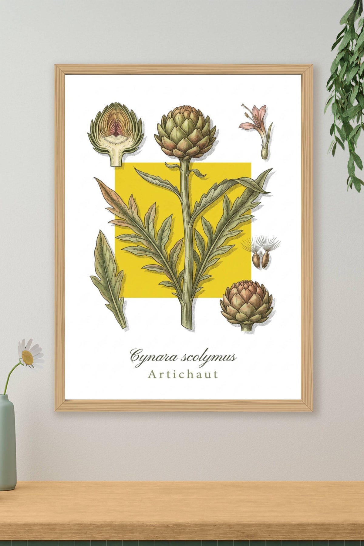 Affiche d'Artichaut, plante aromatique | Afich