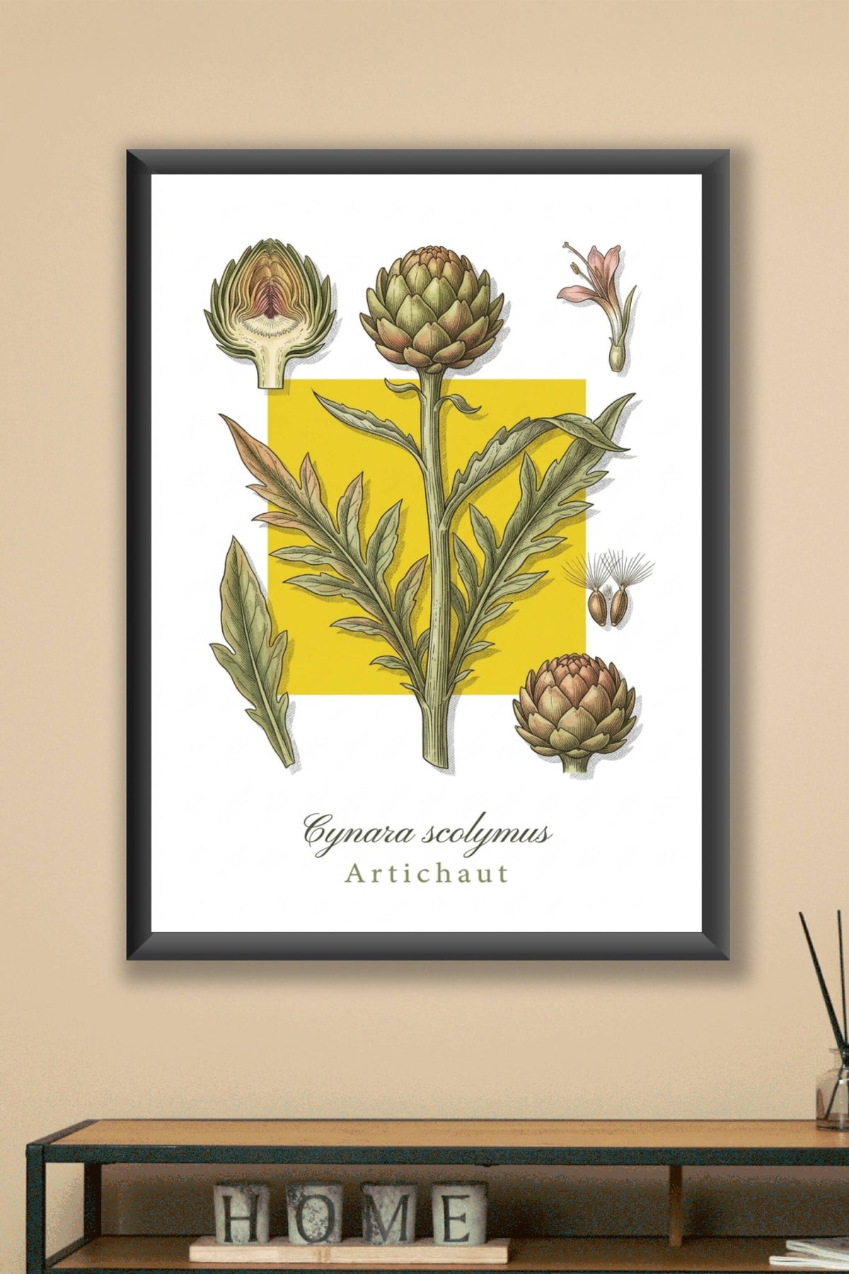 Affiche d'Artichaut, plante aromatique | Afich