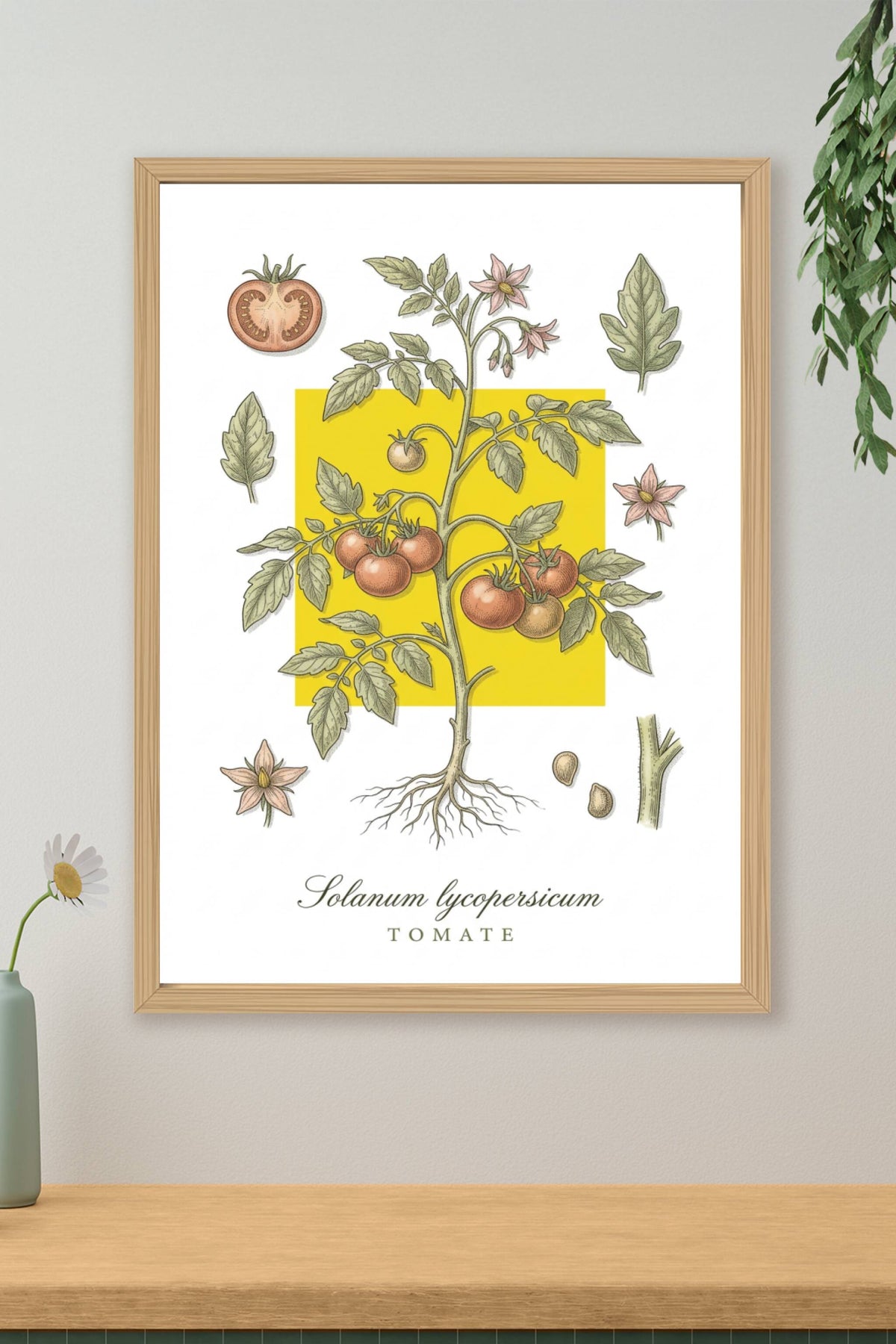 Affiche de tomate, décor botanique | Afich