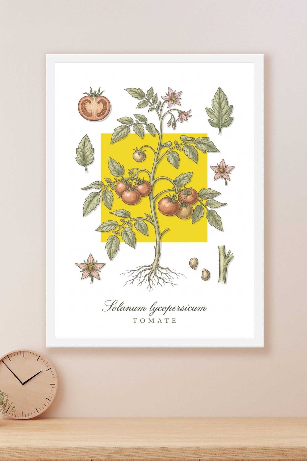 Affiche de tomate, décor botanique | Afich