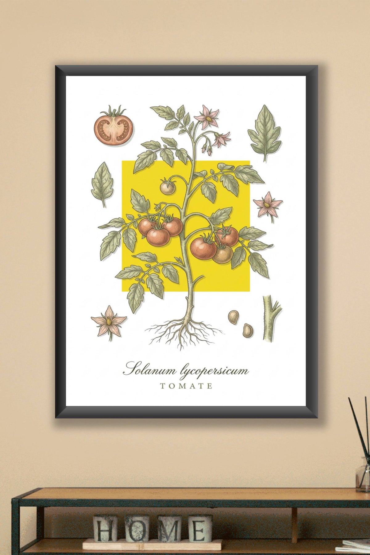 Affiche de tomate, décor botanique | Afich