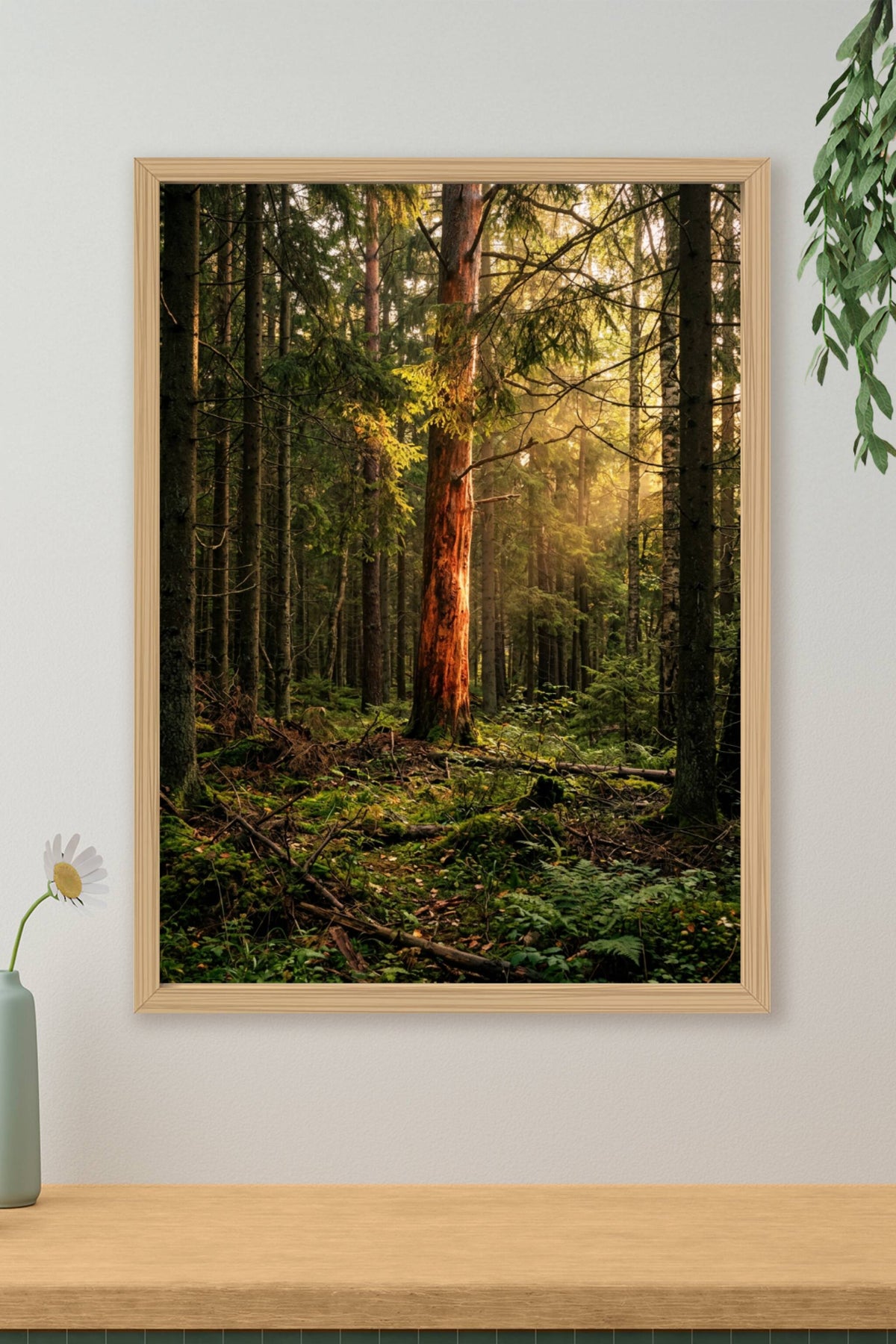 Affiche de forêt, poster sapins et lumière