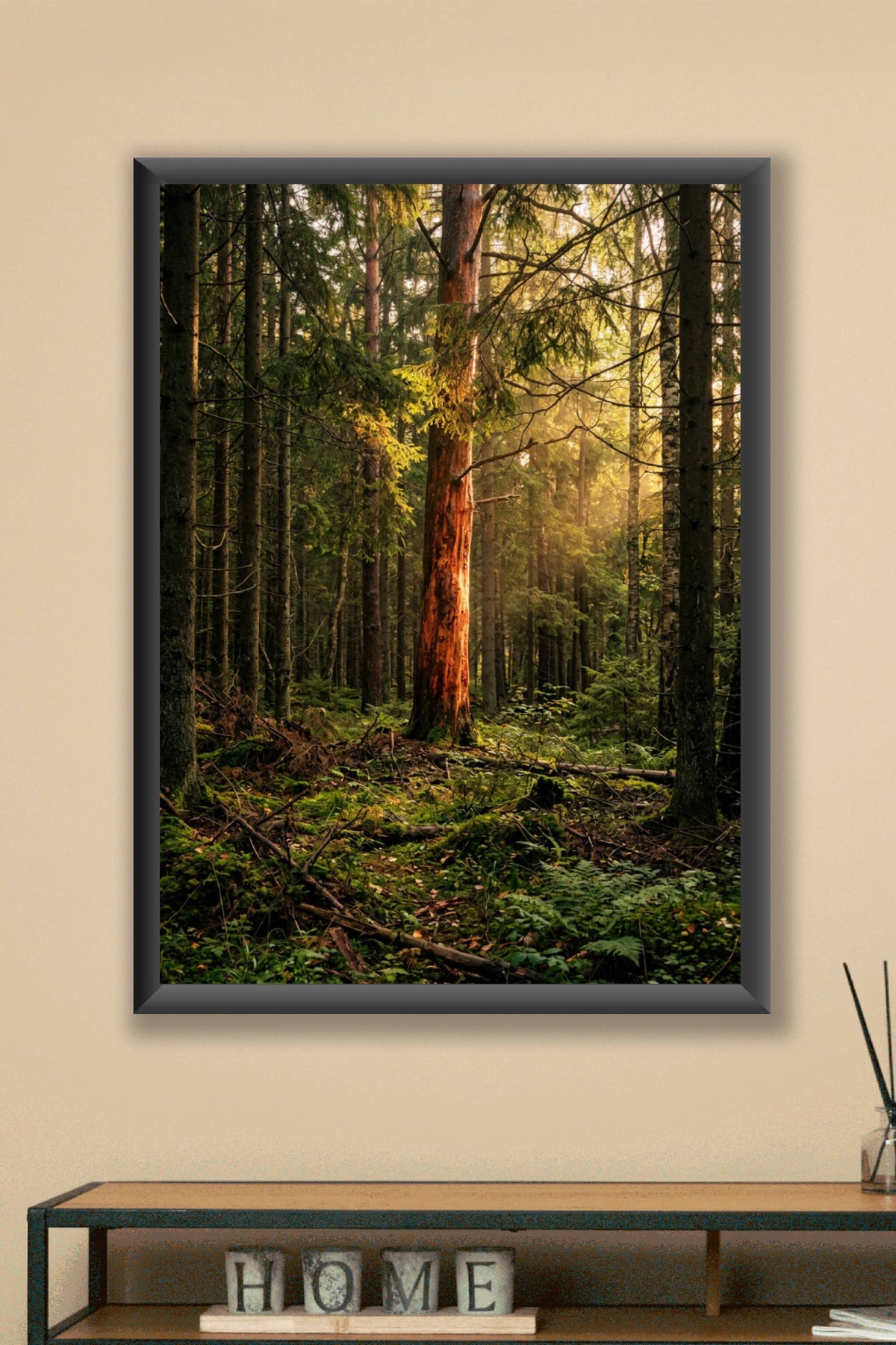 Affiche de forêt, poster sapins et lumière