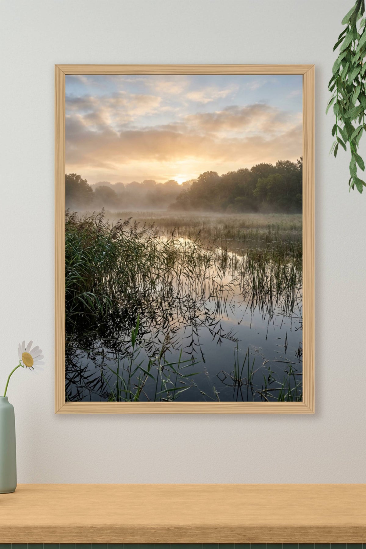 Poster de marais, paysage brume matinale