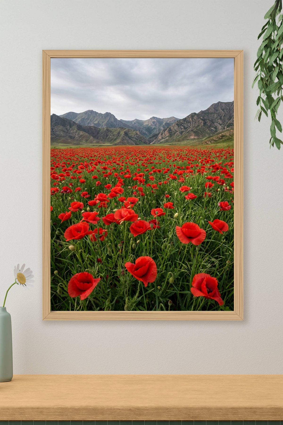 Affiche de coquelicots, poster champ de fleurs