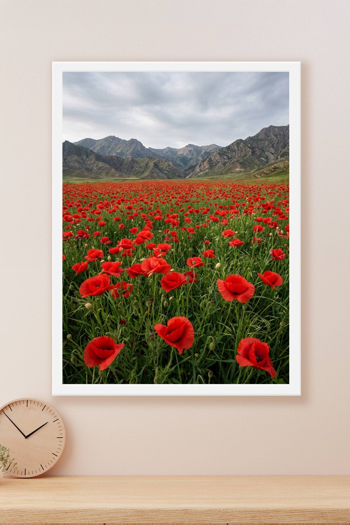 Affiche de coquelicots, poster champ de fleurs