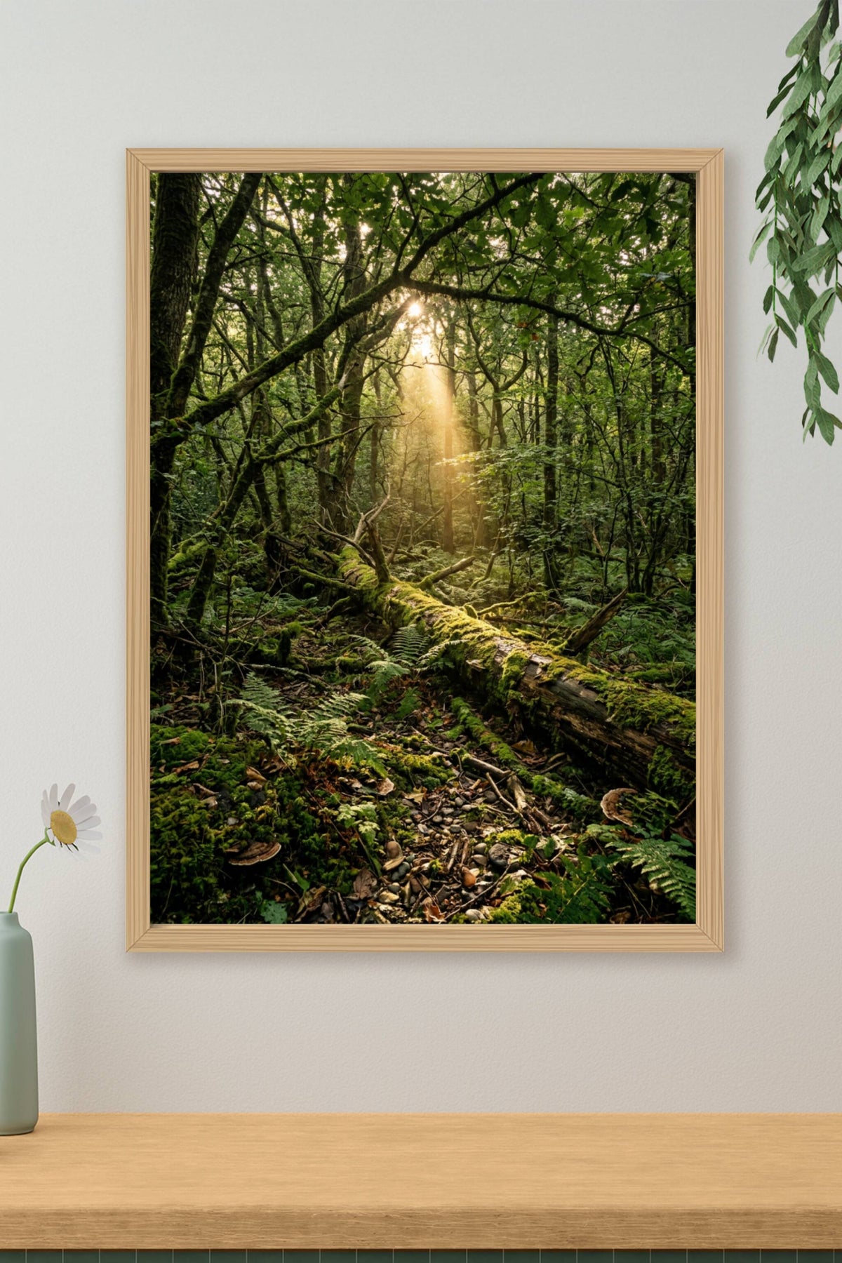 Affiche de forêt, poster rayons de soleil