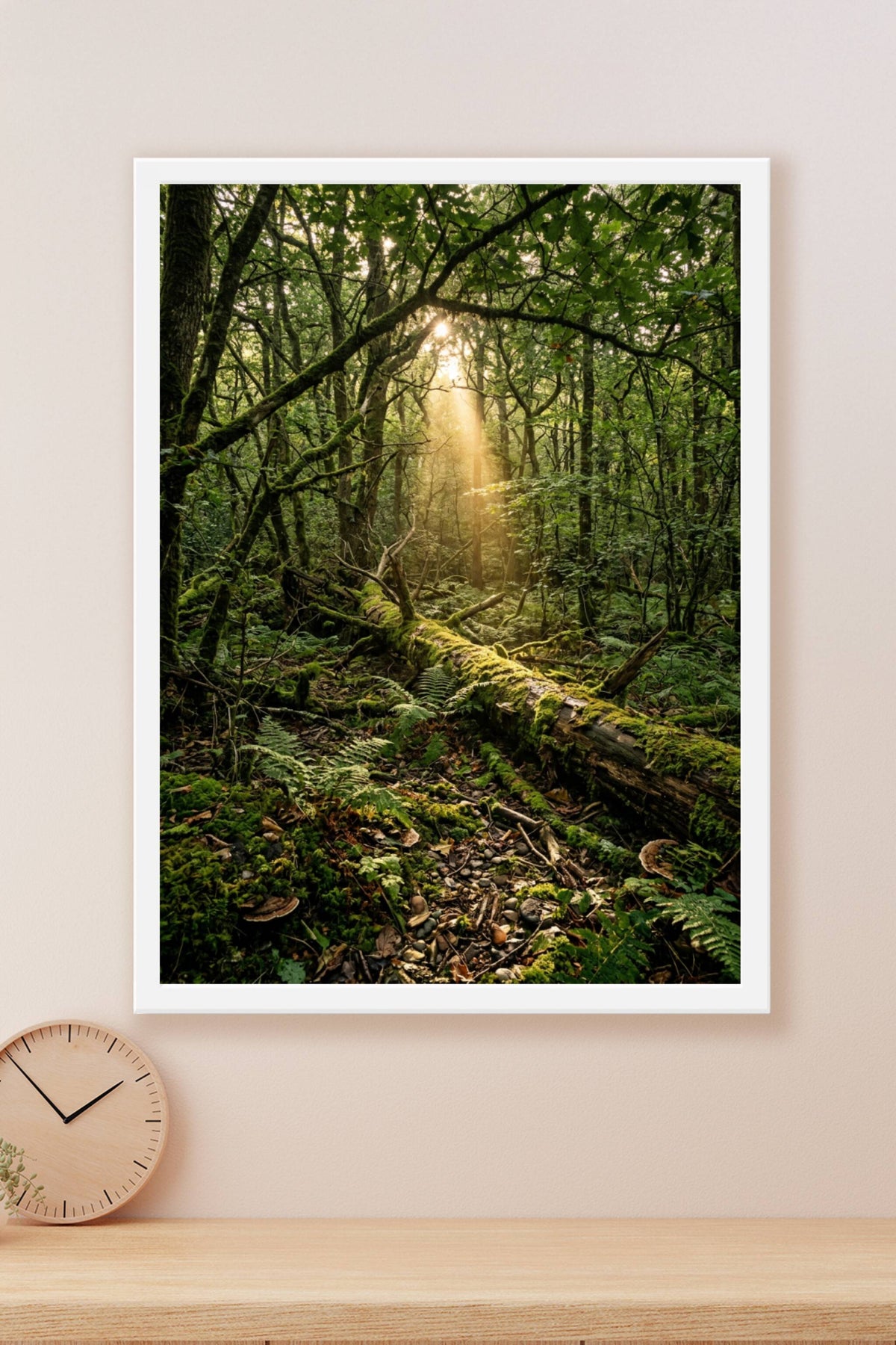Affiche de forêt, poster rayons de soleil