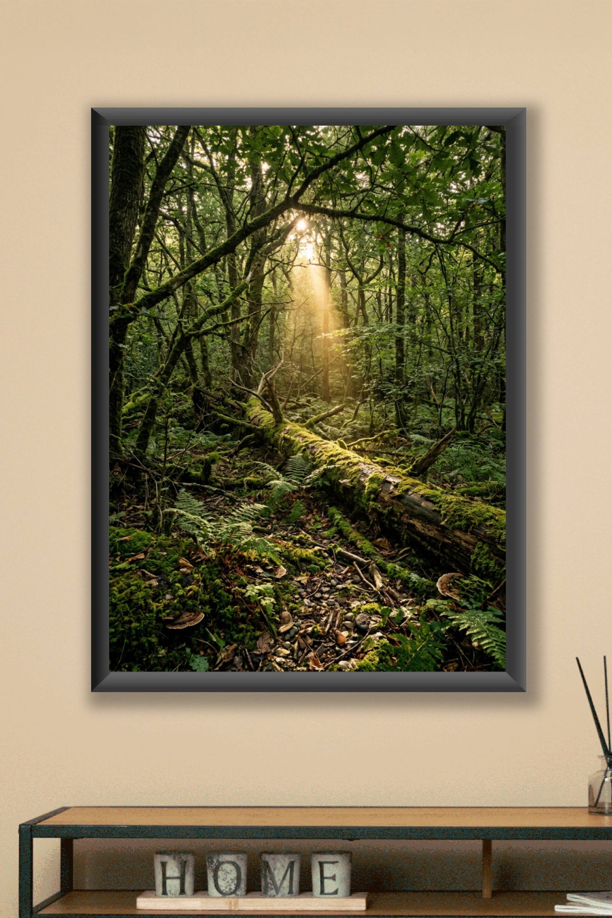 Affiche de forêt, poster rayons de soleil