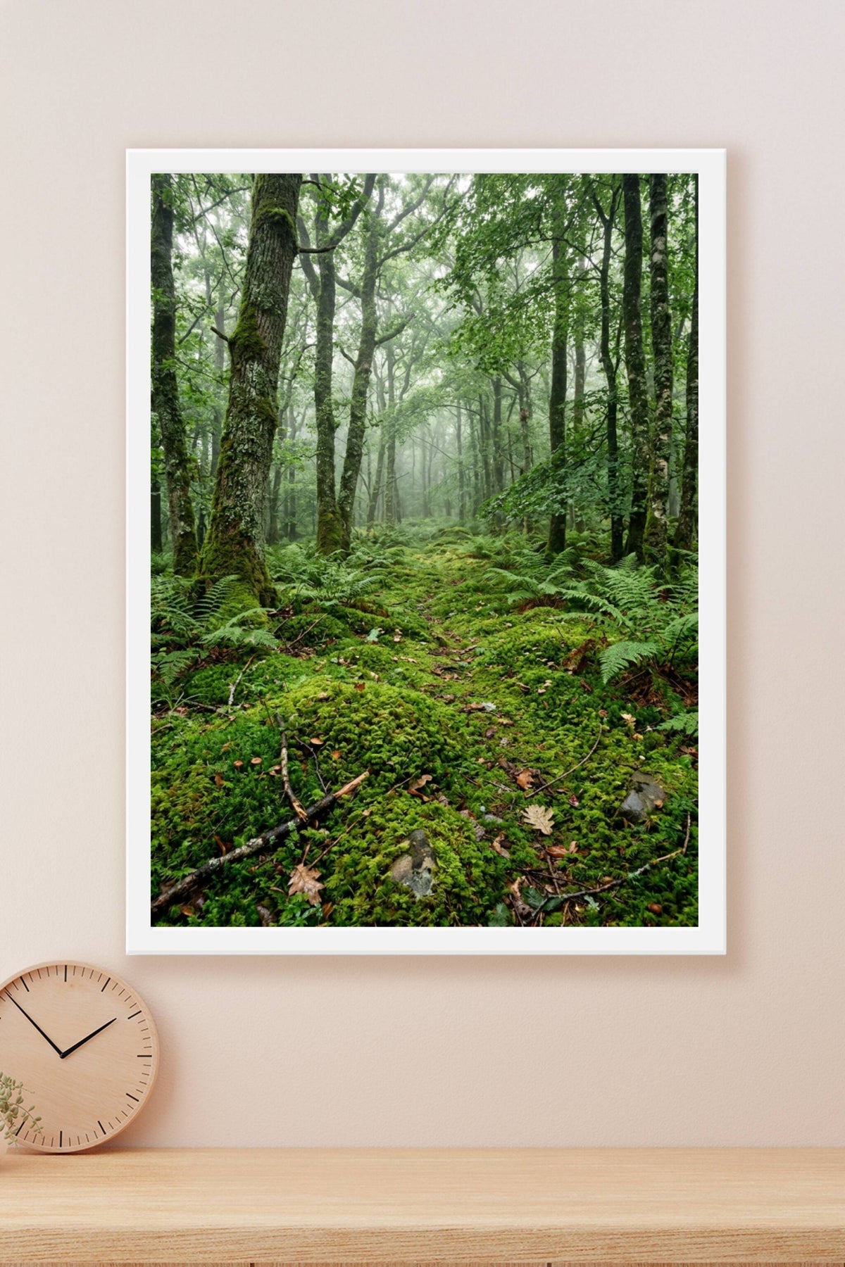 Affiche de forêt, poster brume et fougères