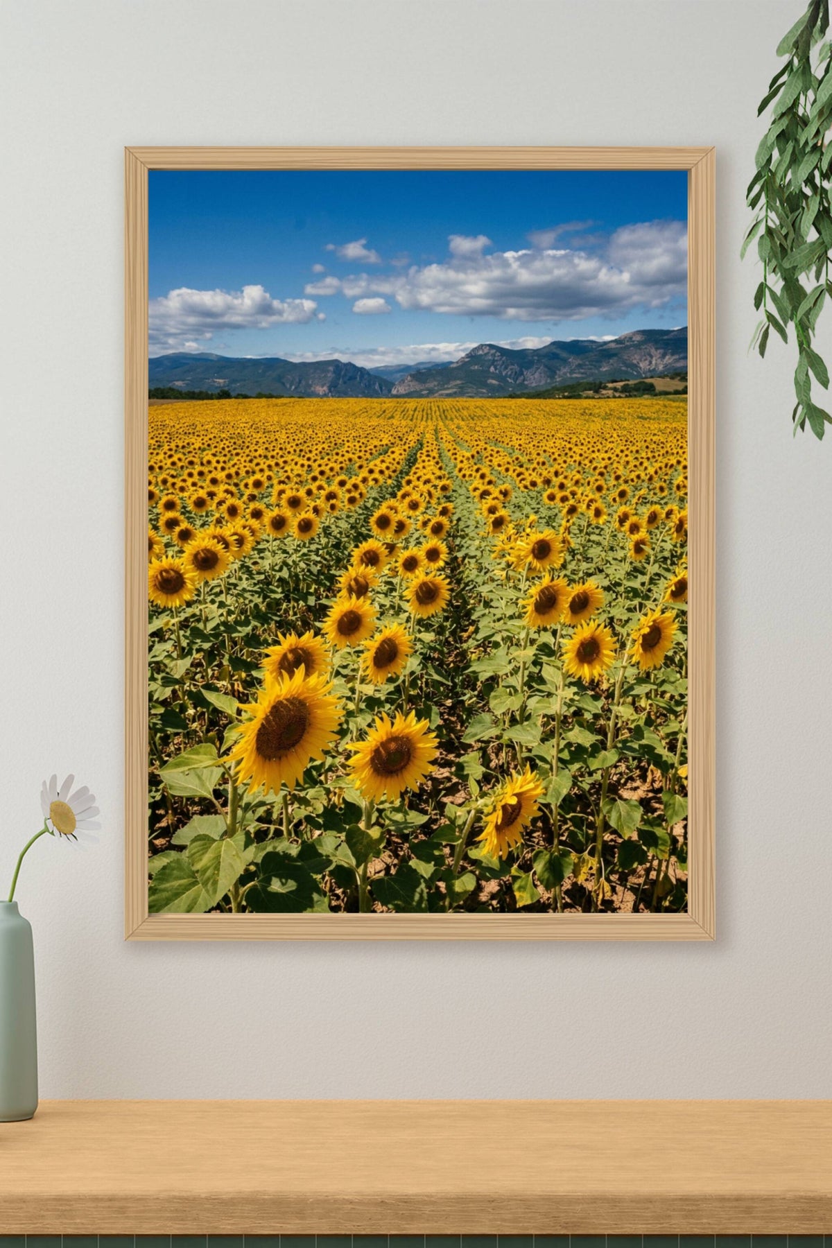 Poster de tournesols, affiche de Provence