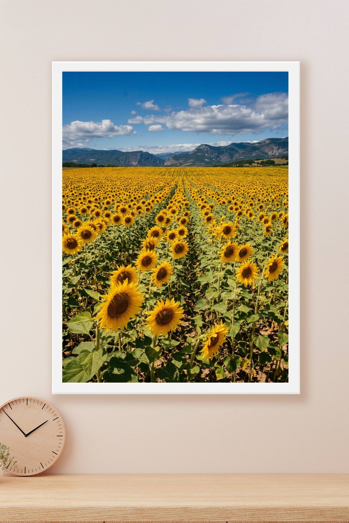 Poster de tournesols, affiche de Provence