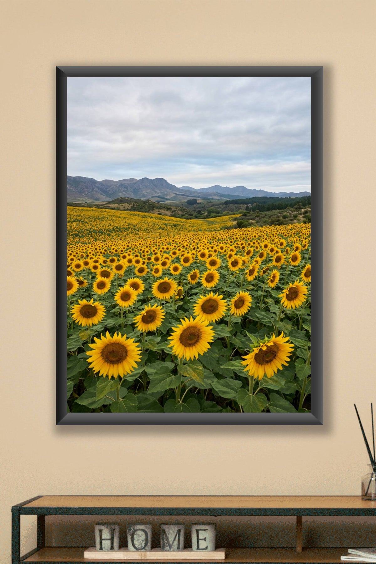 Affiche de Tournesols, poster champs de fleurs