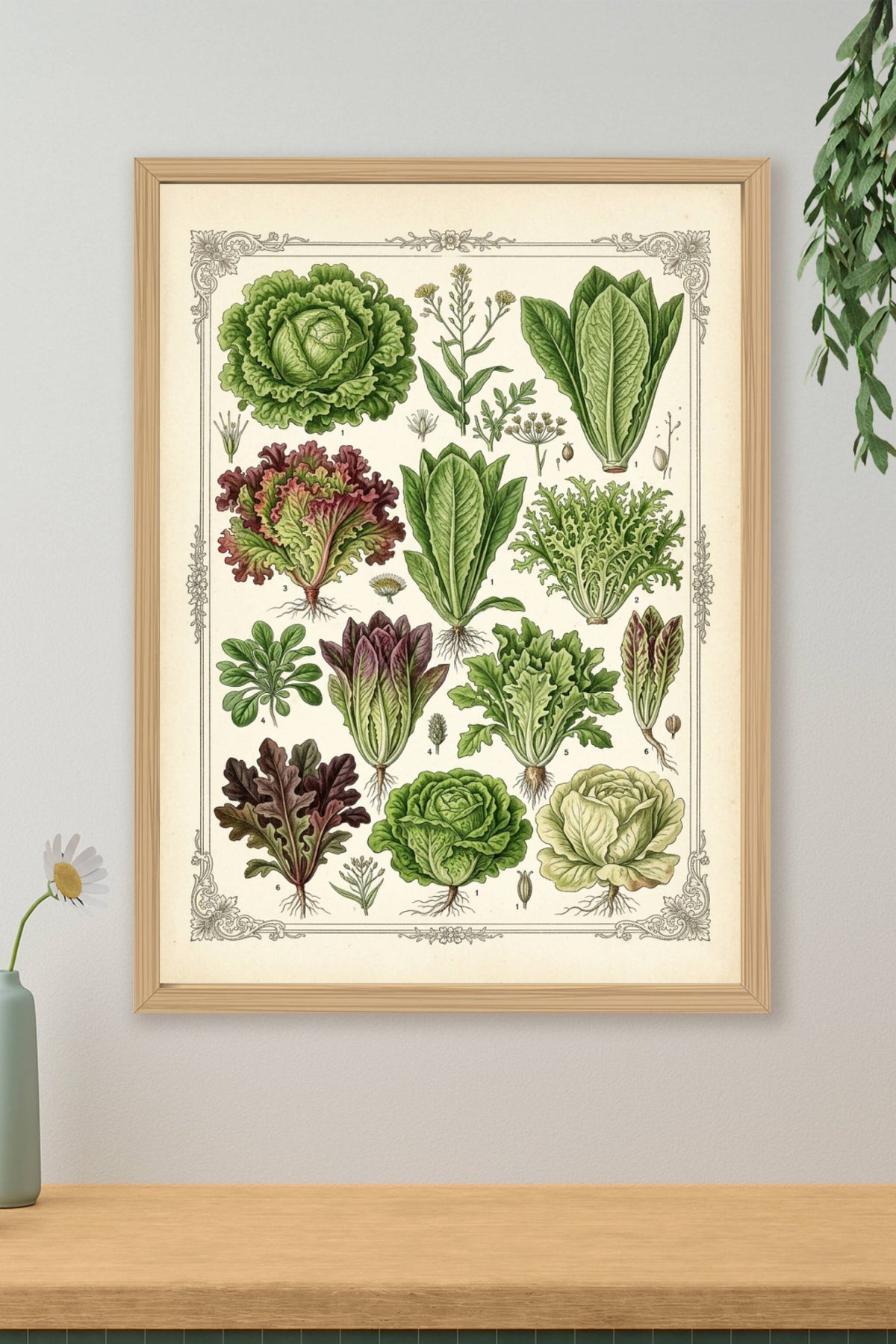 Affiche de salades anciennes, poster botanique