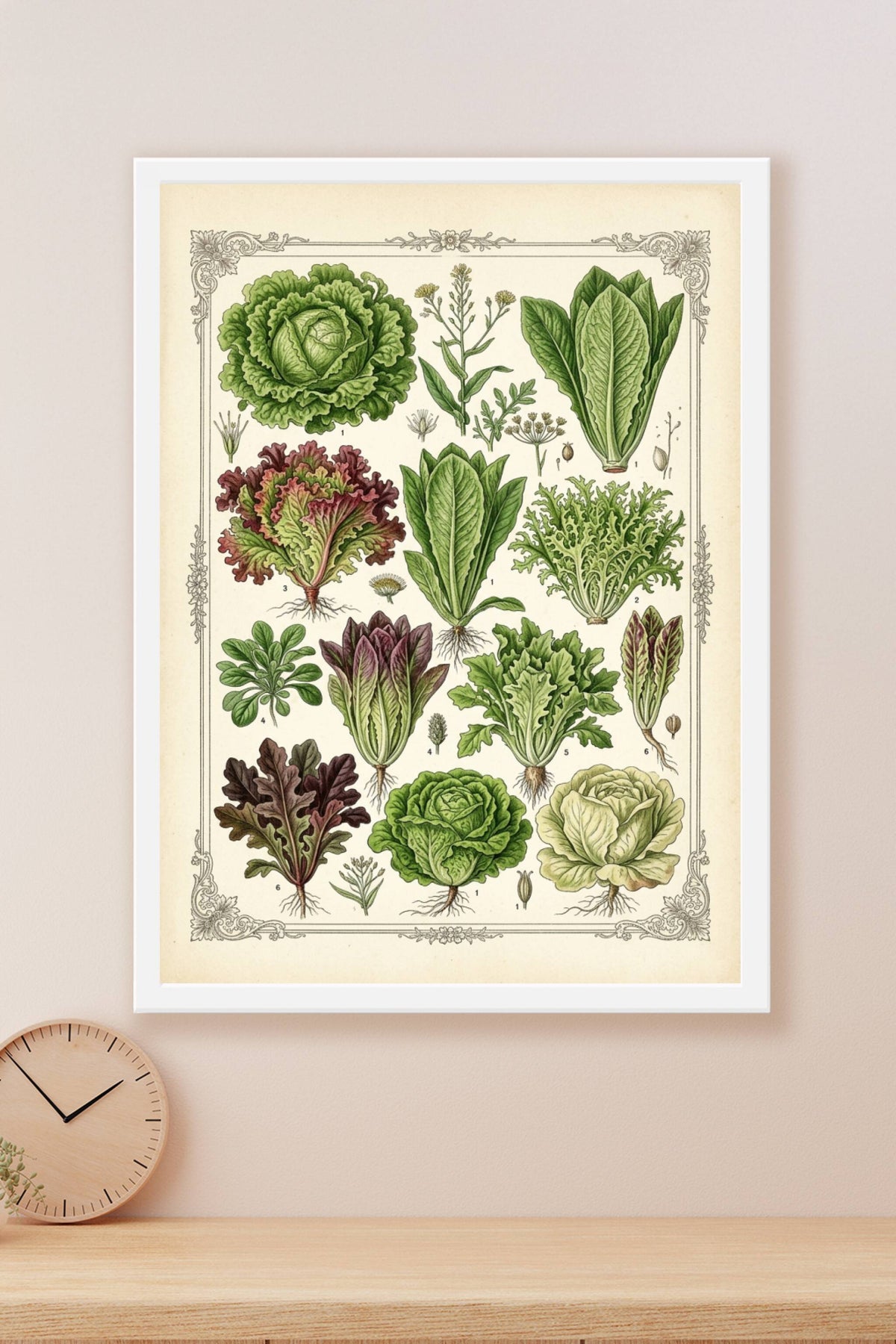 Affiche de salades anciennes, poster botanique