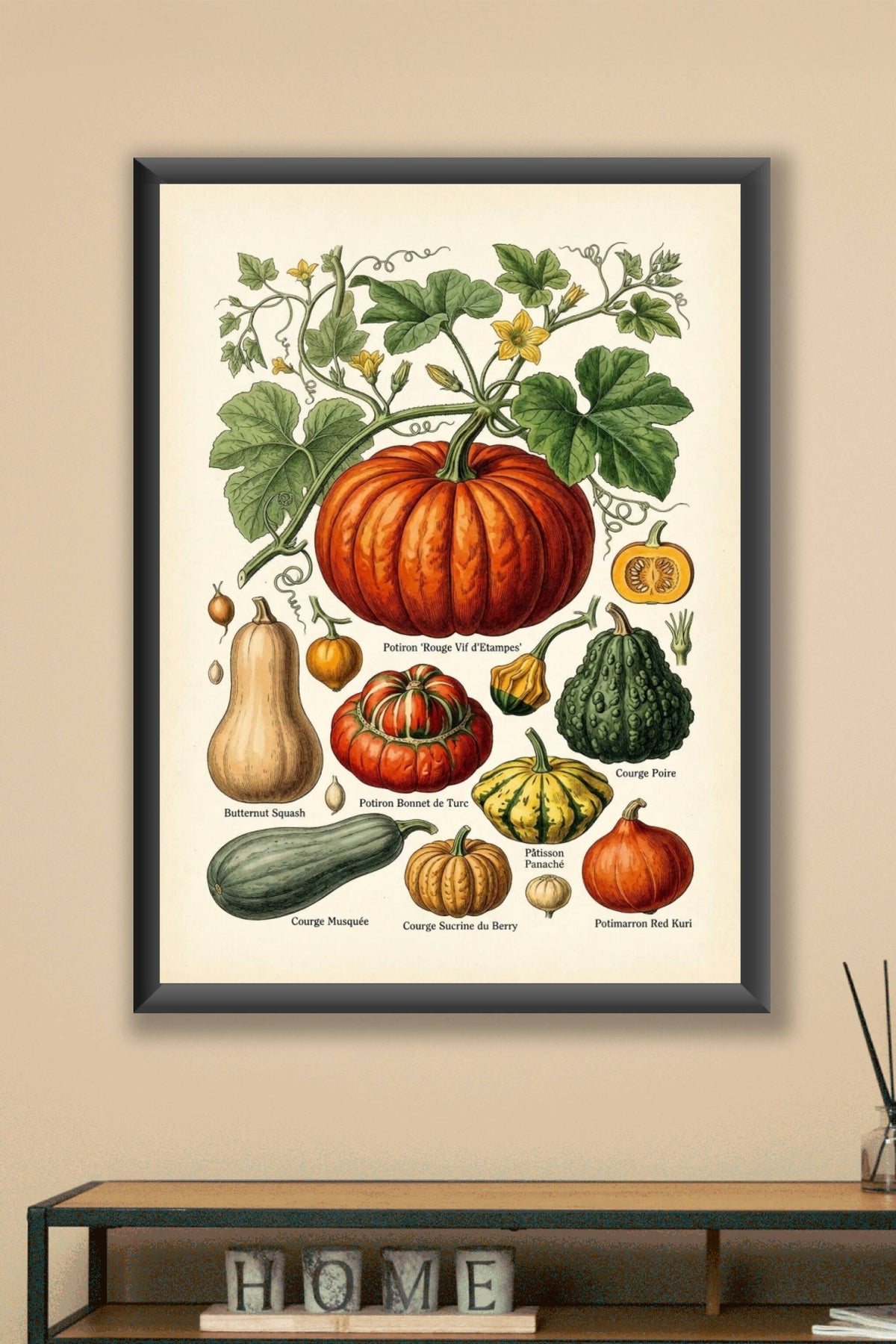 Affiche de courges, poster planches botaniques