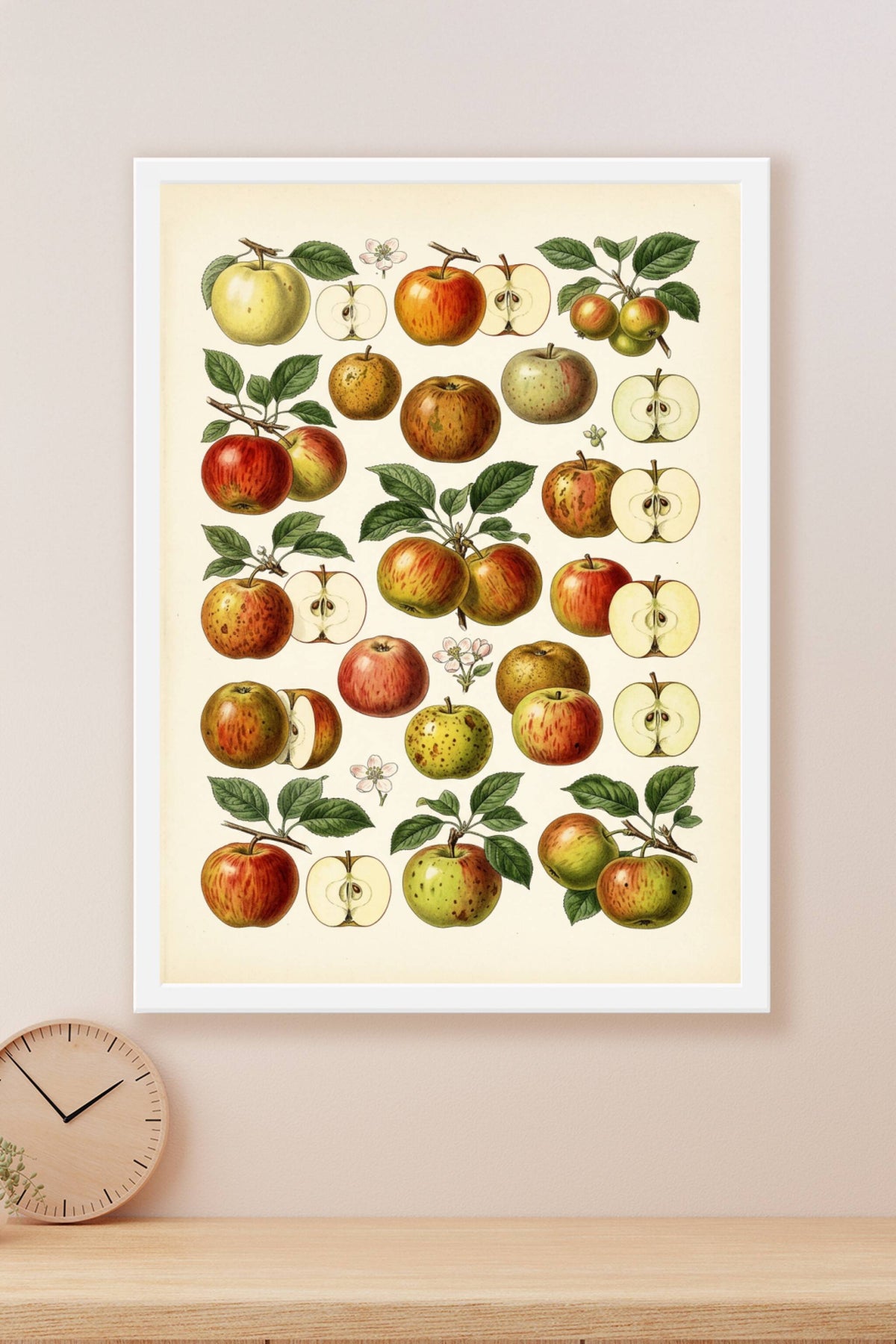 Affiche de pommes, poster planches botaniques