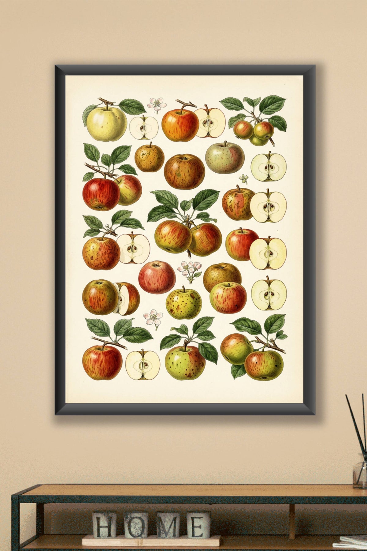 Affiche de pommes, poster planches botaniques