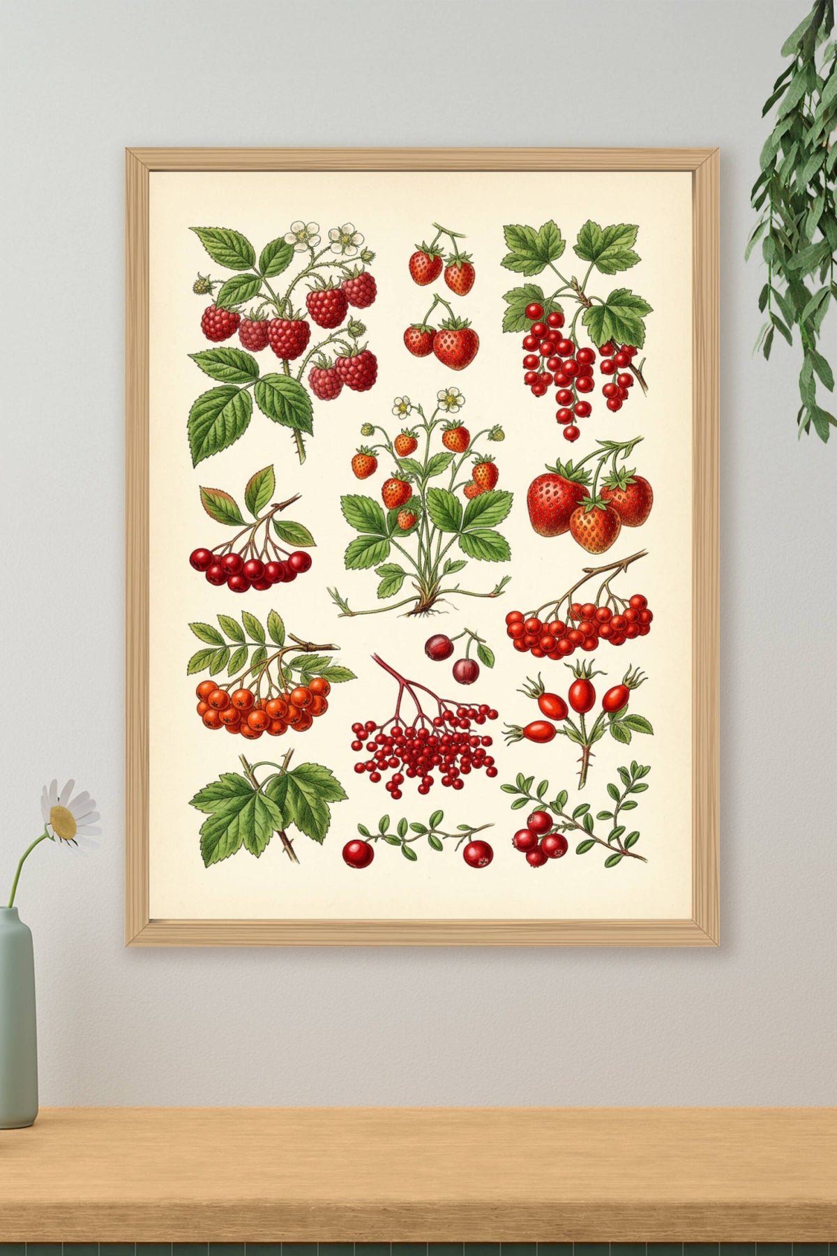Affiche de fruits rouges, poster botanique