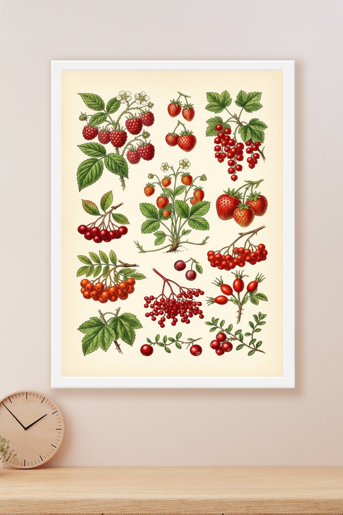 Affiche de fruits rouges, poster botanique