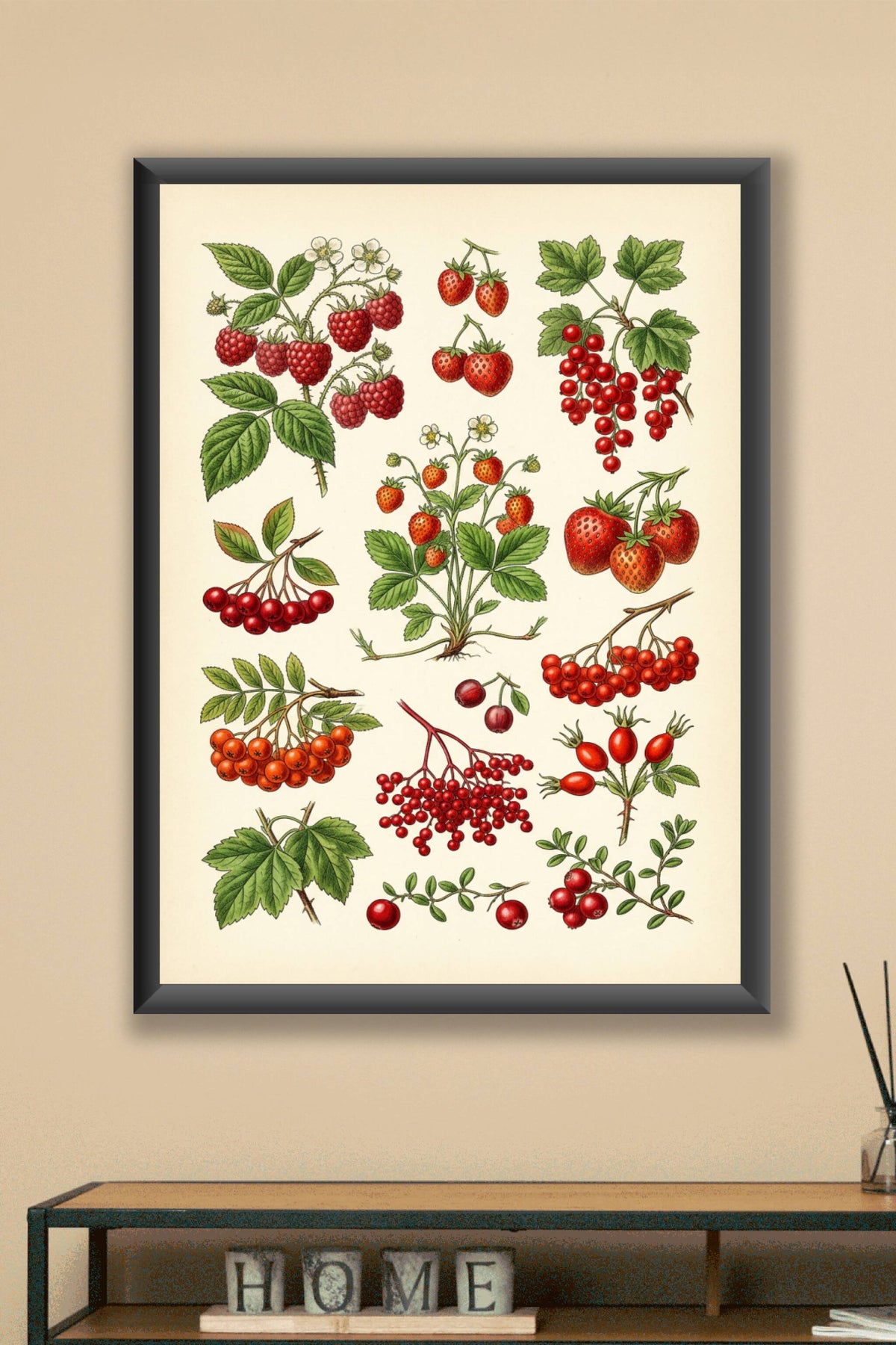 Affiche de fruits rouges, poster botanique