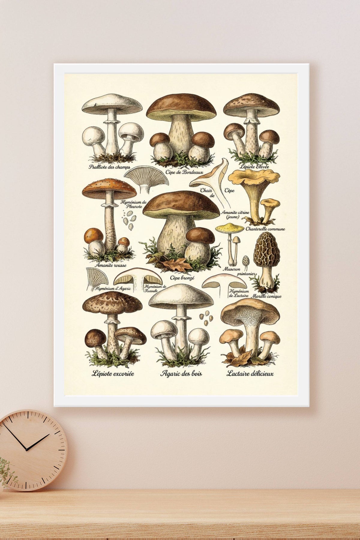 Affiche de Champignons, poster de cuisine vintage