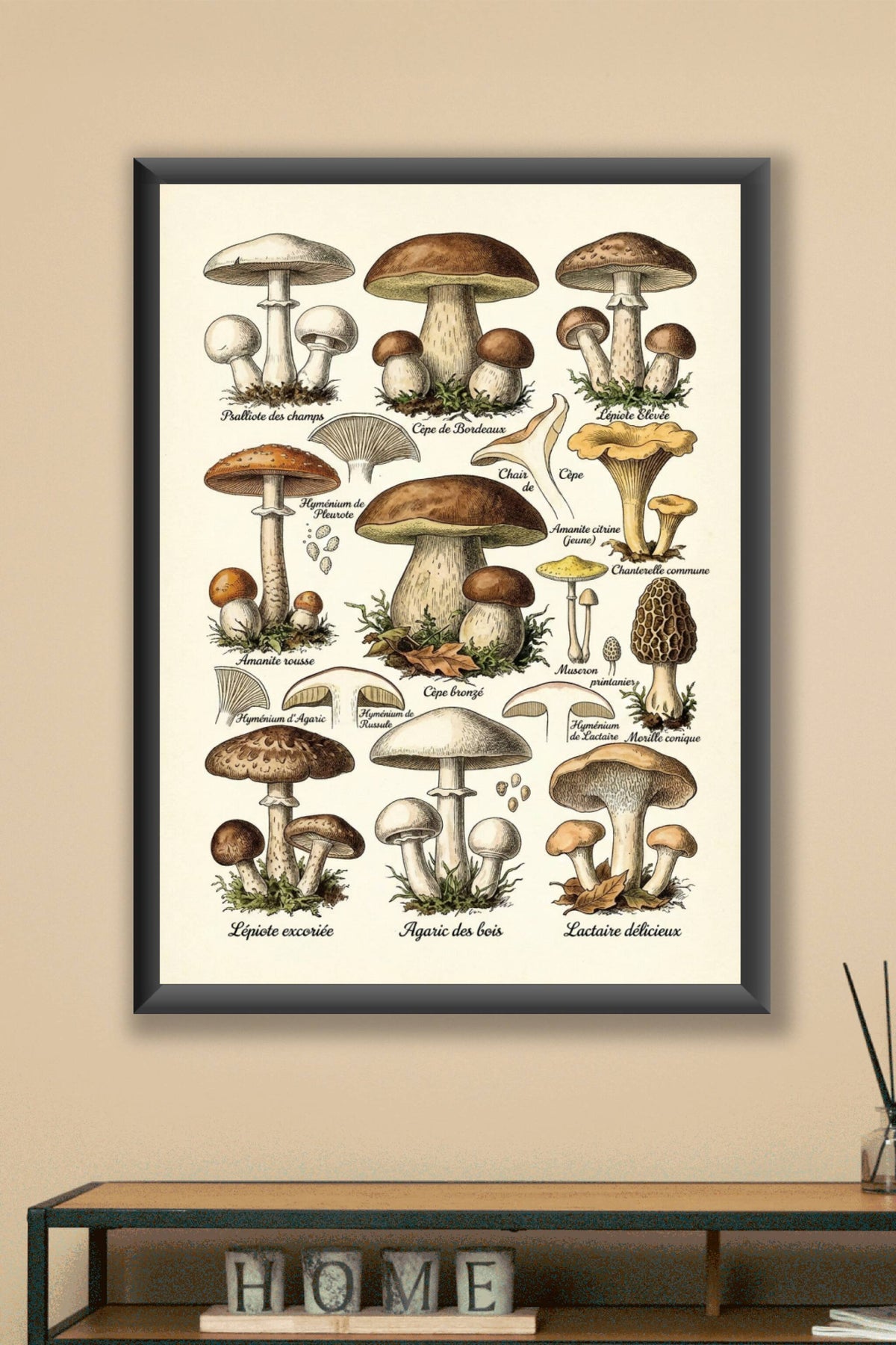 Affiche de Champignons, poster de cuisine vintage