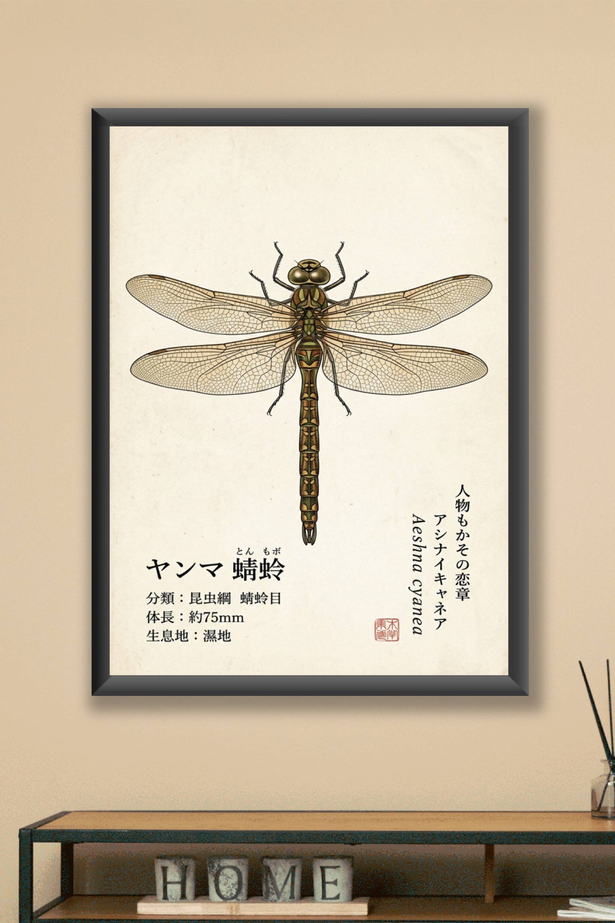 Affiche Libellule Japonaise, poster Aeshna Cyanea