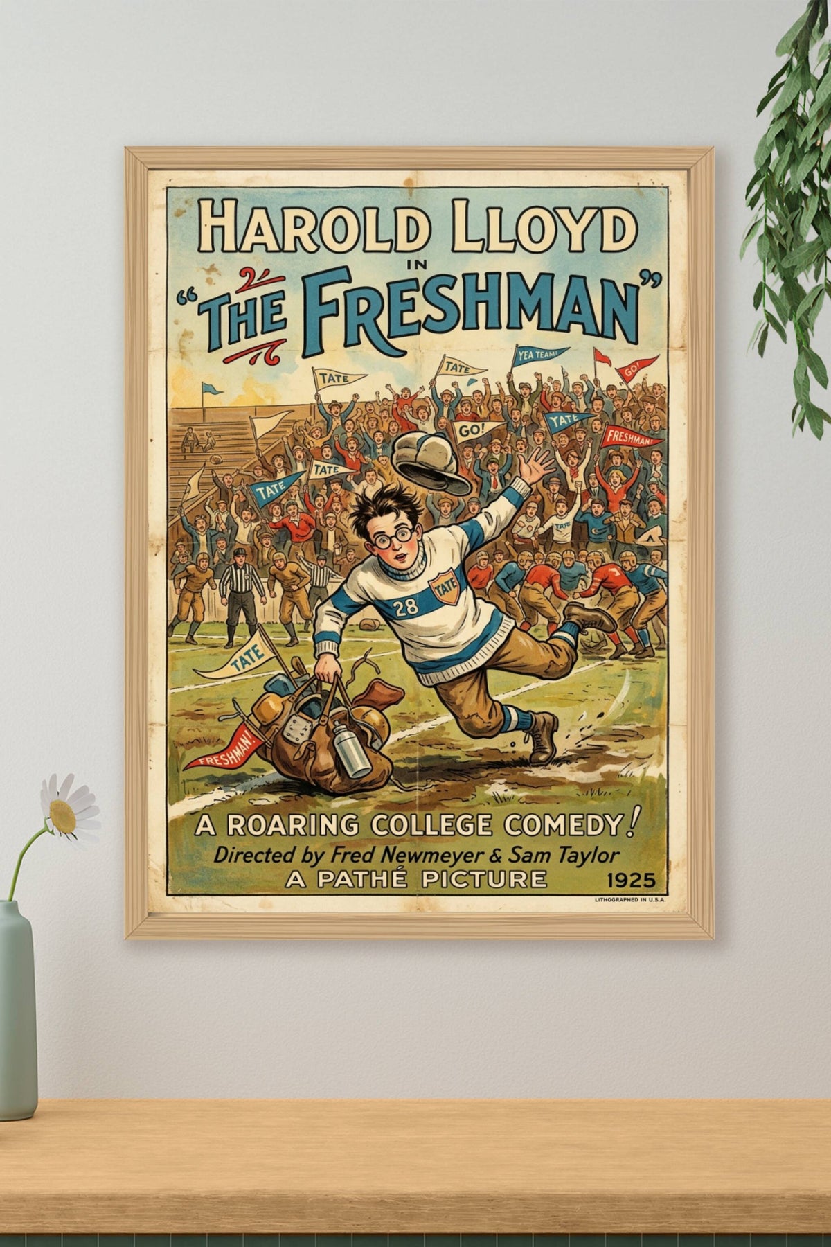 The Freshman (1925)
