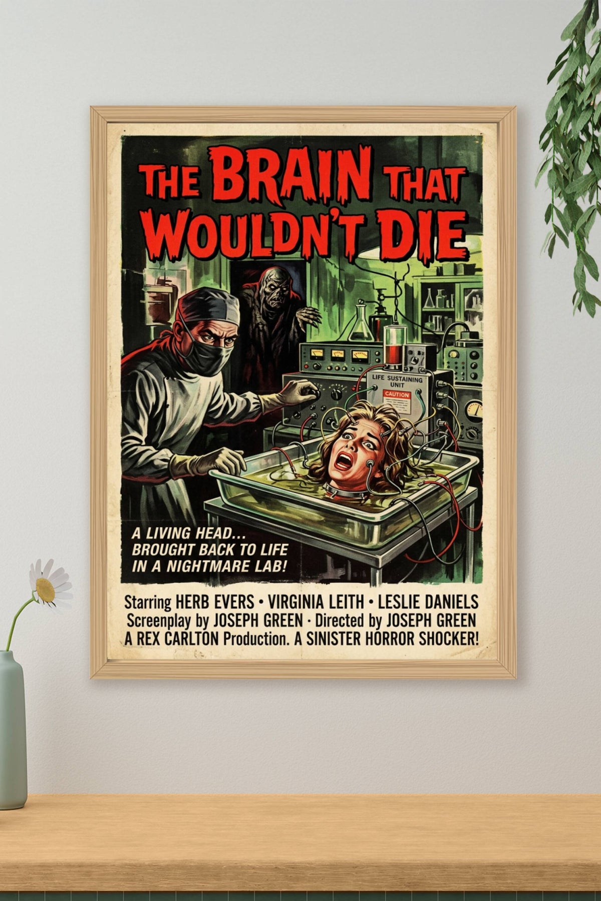 Affiche The Brain That Wouldn't Die, poster cinéma
