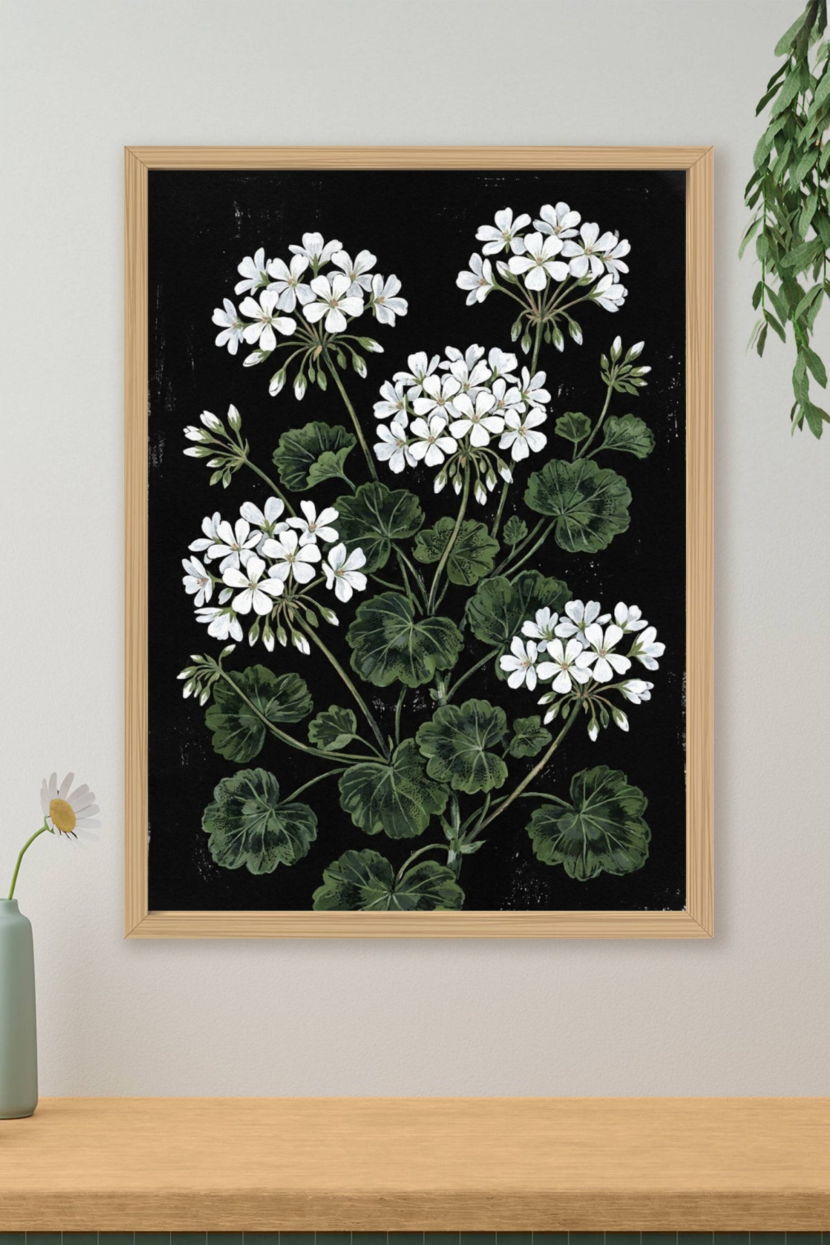 Affiche de Géraniums blancs, poster fleurs blanches